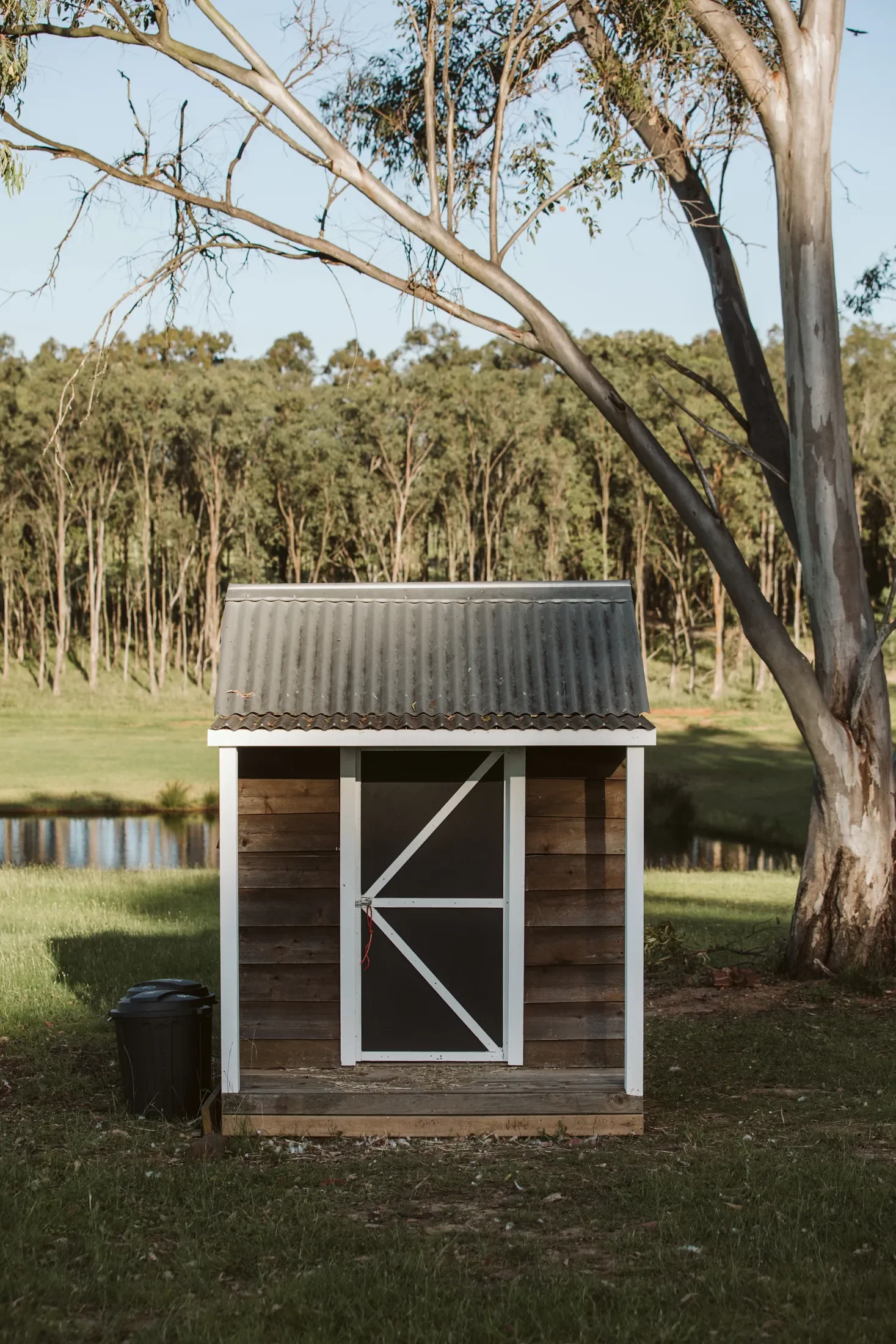 Small chicken coop with white framing, dark door, pitched metal roof, located on grassy area next to a lake, with trees and a small pond in the background.