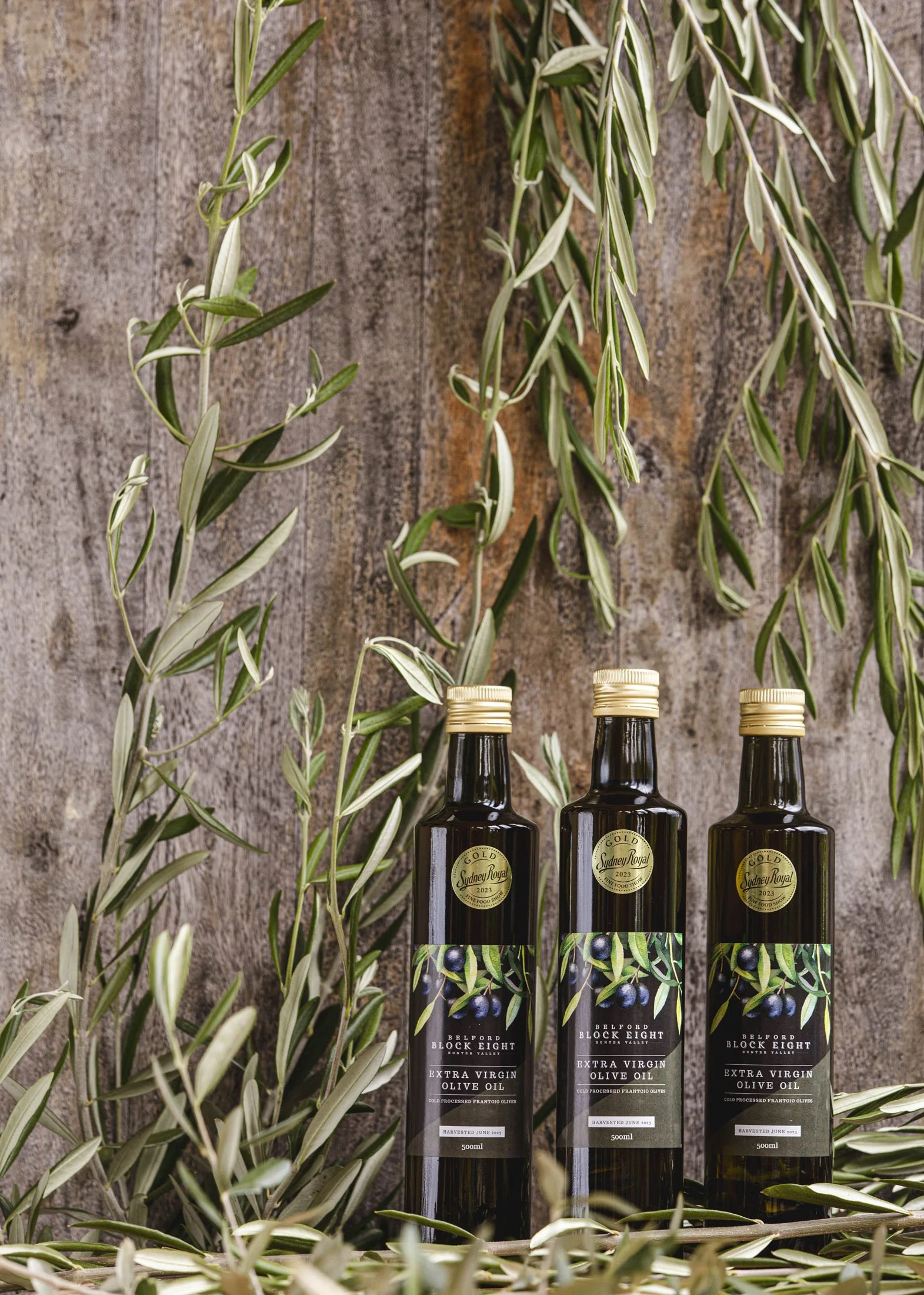 Three bottles of olive oil with black labels and gold caps, surrounded by green and silver olives and leaves, against a rustic wooden background.