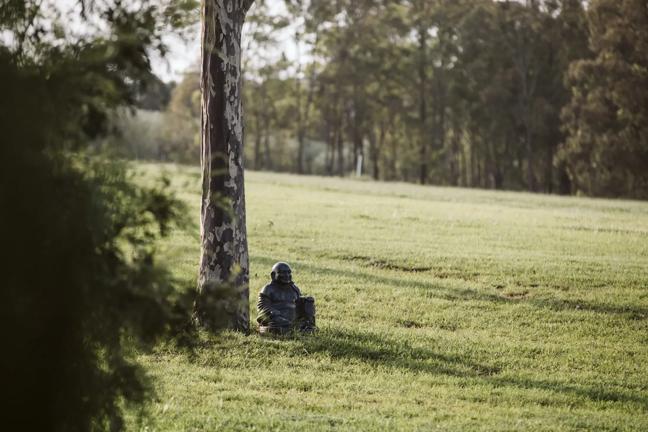 A garden scene with a tree trunk and a small statue of a smiling person sitting on the grass, with trees and greenery in the background.