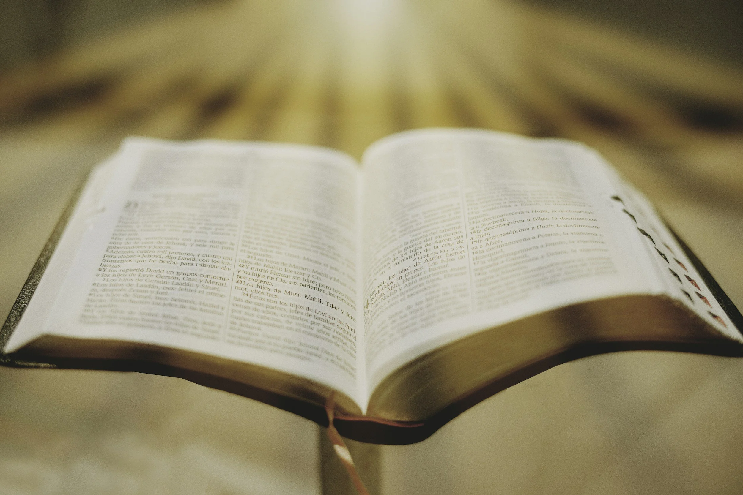 Bible Study - Jeremiah 7-8