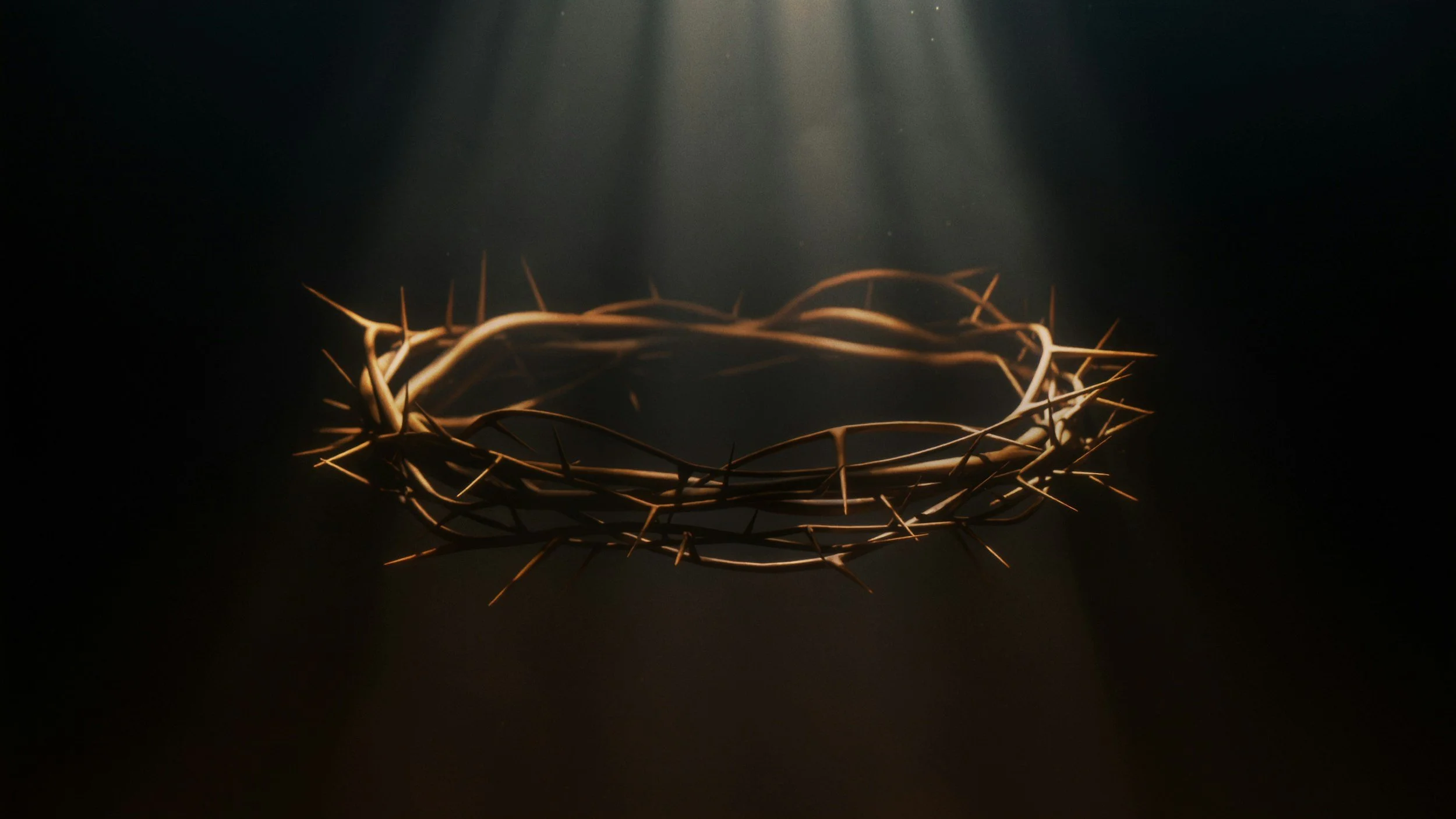 Bible Study - John 19