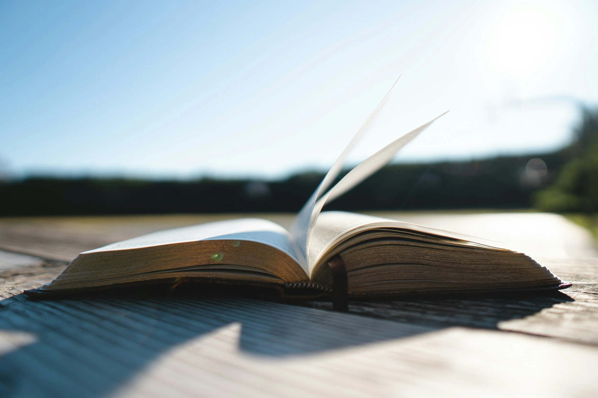 Bible Study - Ecclesiastes 1 