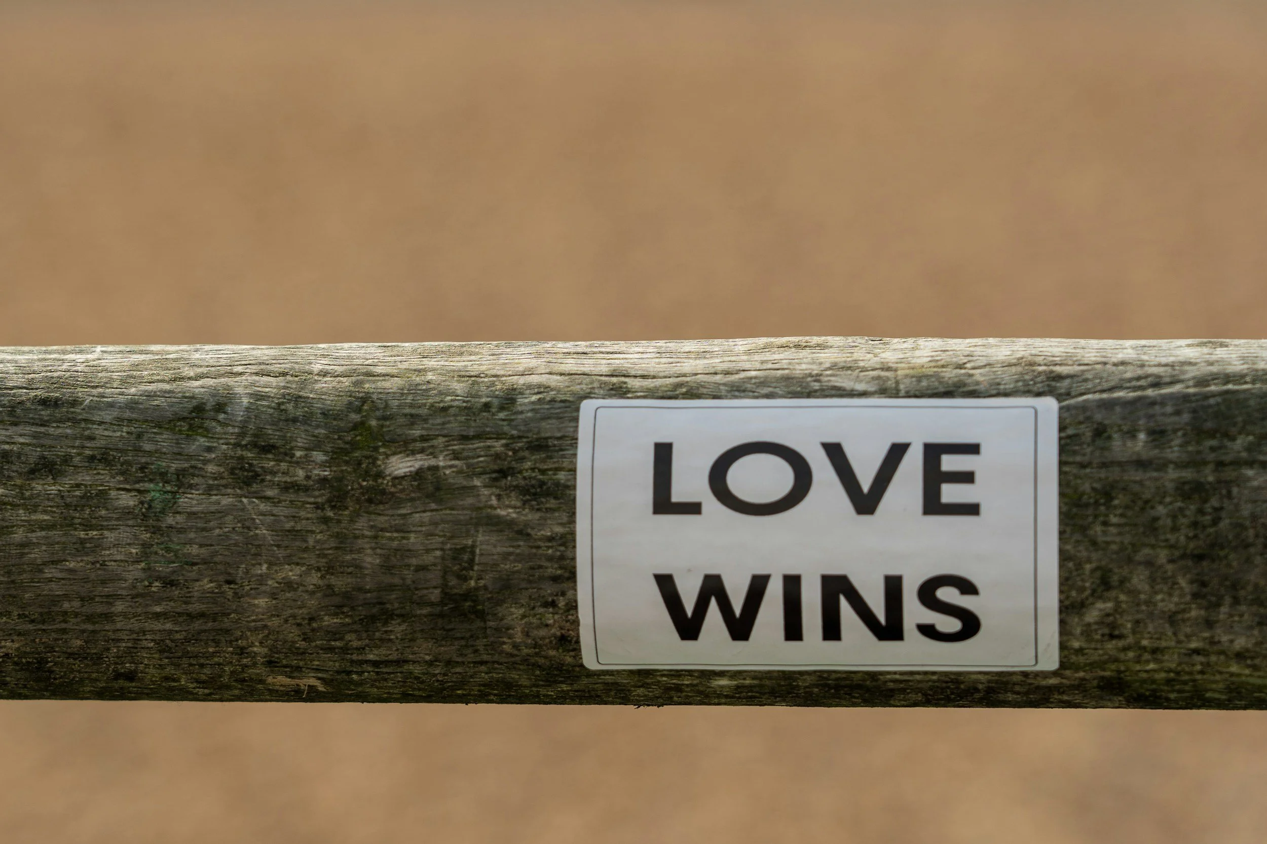 Some Days…We Win!