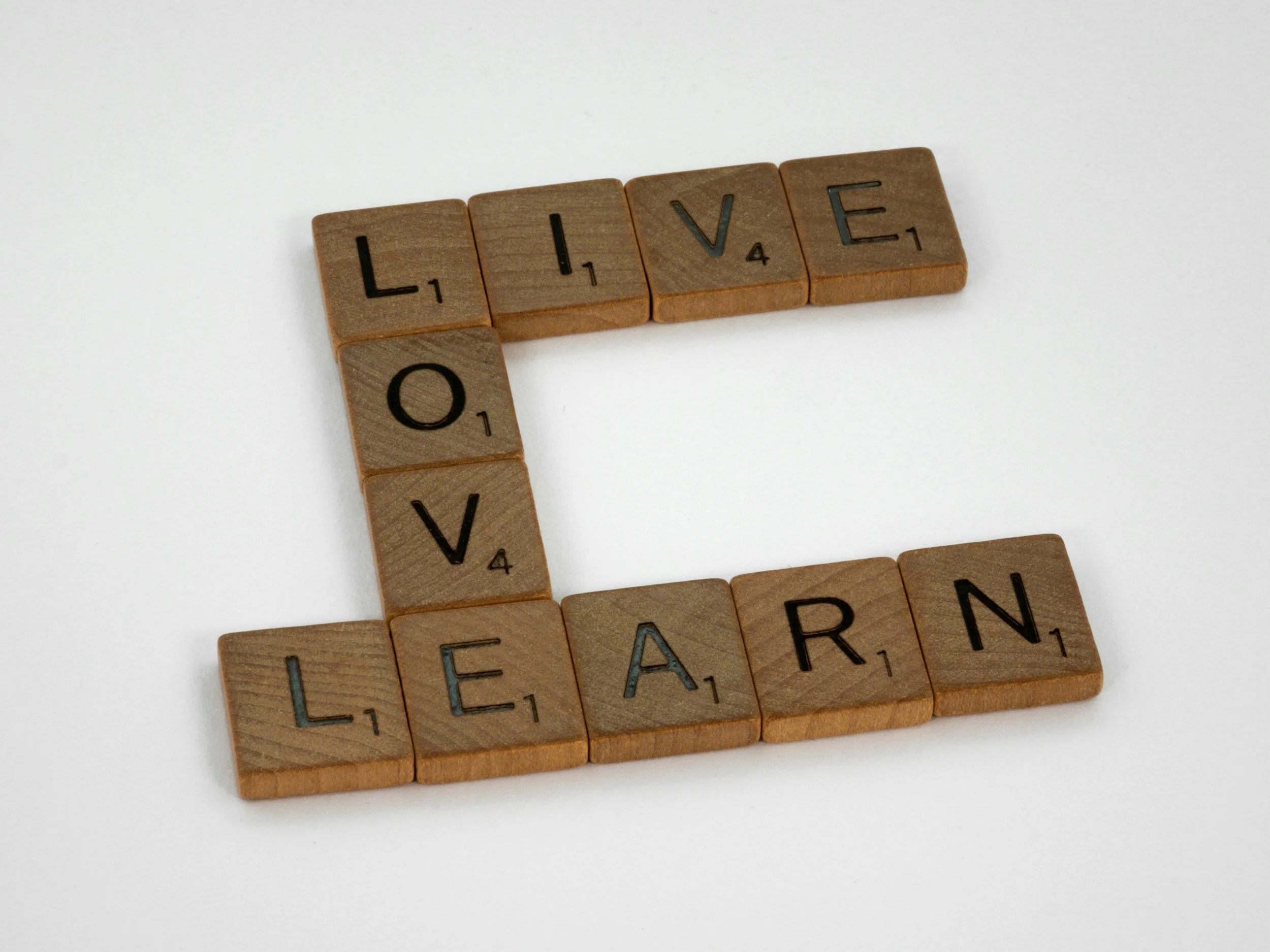 What Did You Learn?