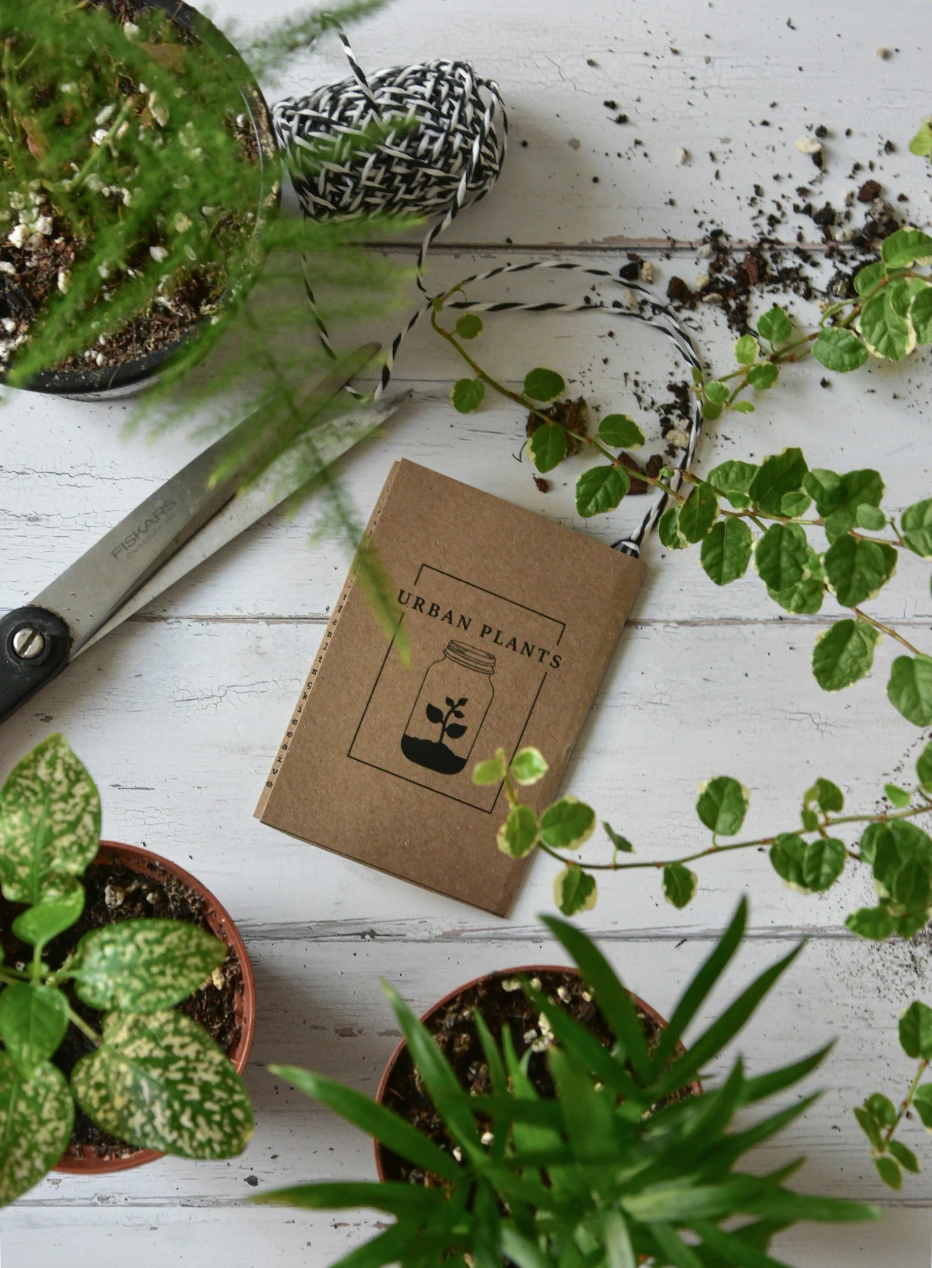Several potted plants and a booklet with the text 'Urban Plants' are placed on a white wooden surface, alongside gardening tools and soil.