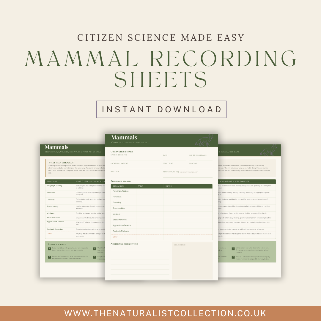 Mammal Behaviour Recording Sheet