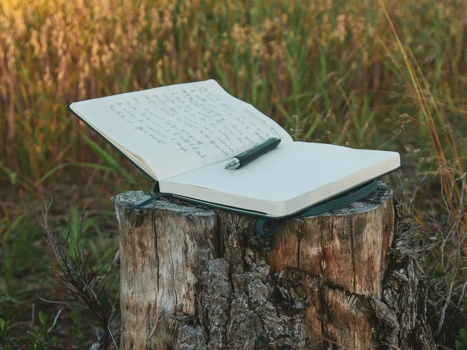 Open notebook with handwritten notes and a black pen resting on it, placed on a tree stump outdoors amidst tall grass and plants.