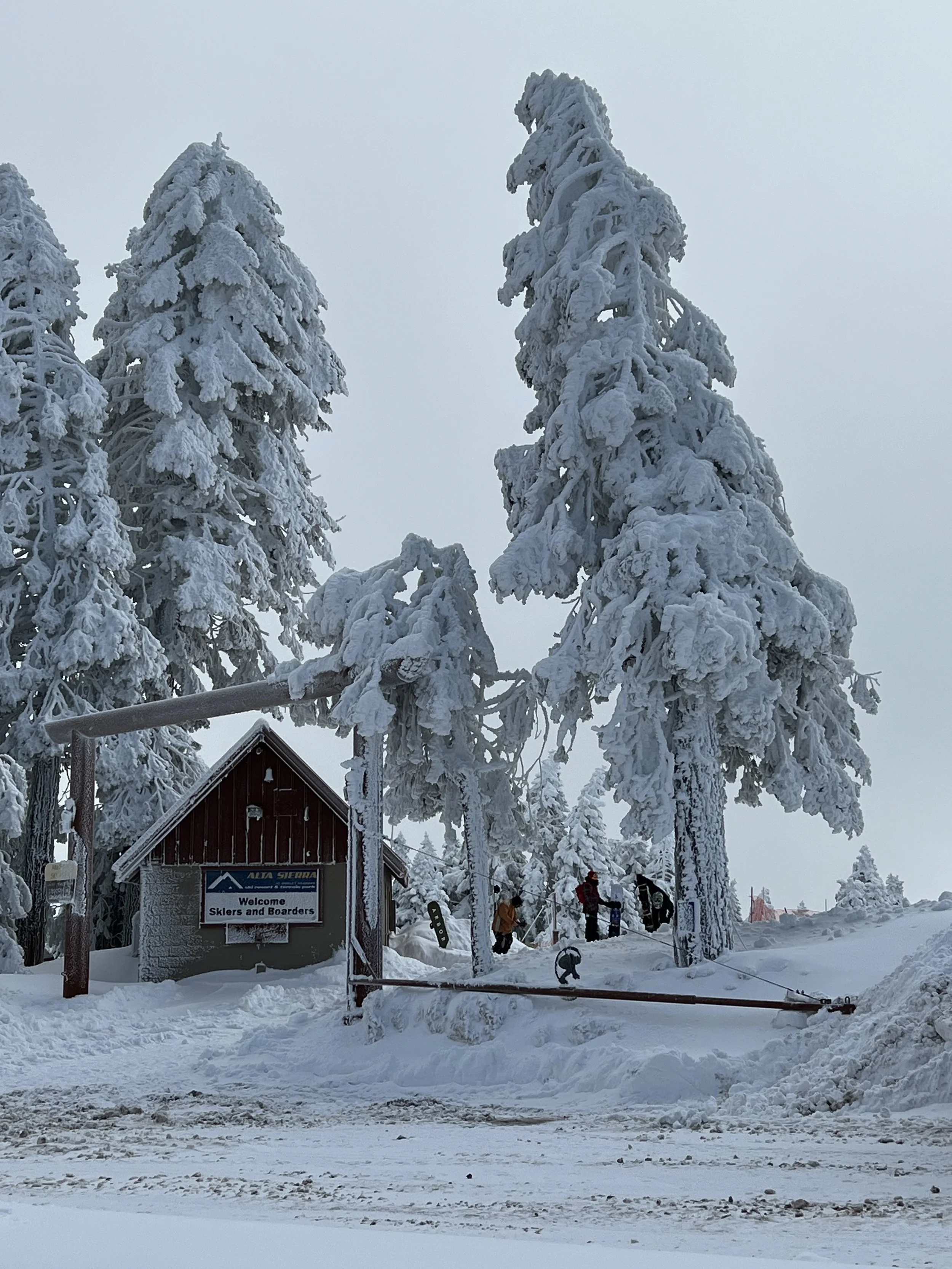 Snow-covered trees and a small wooden building with a sign that says "Welcome Skiers and Boarders" at a ski resort in winter, with a group of people and skis in the background.