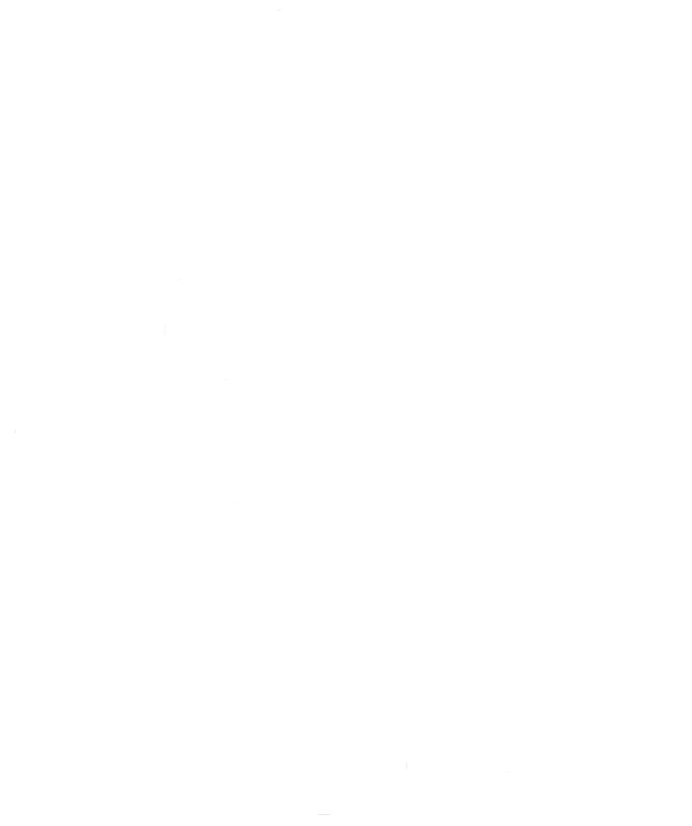 KIM WILDEHART