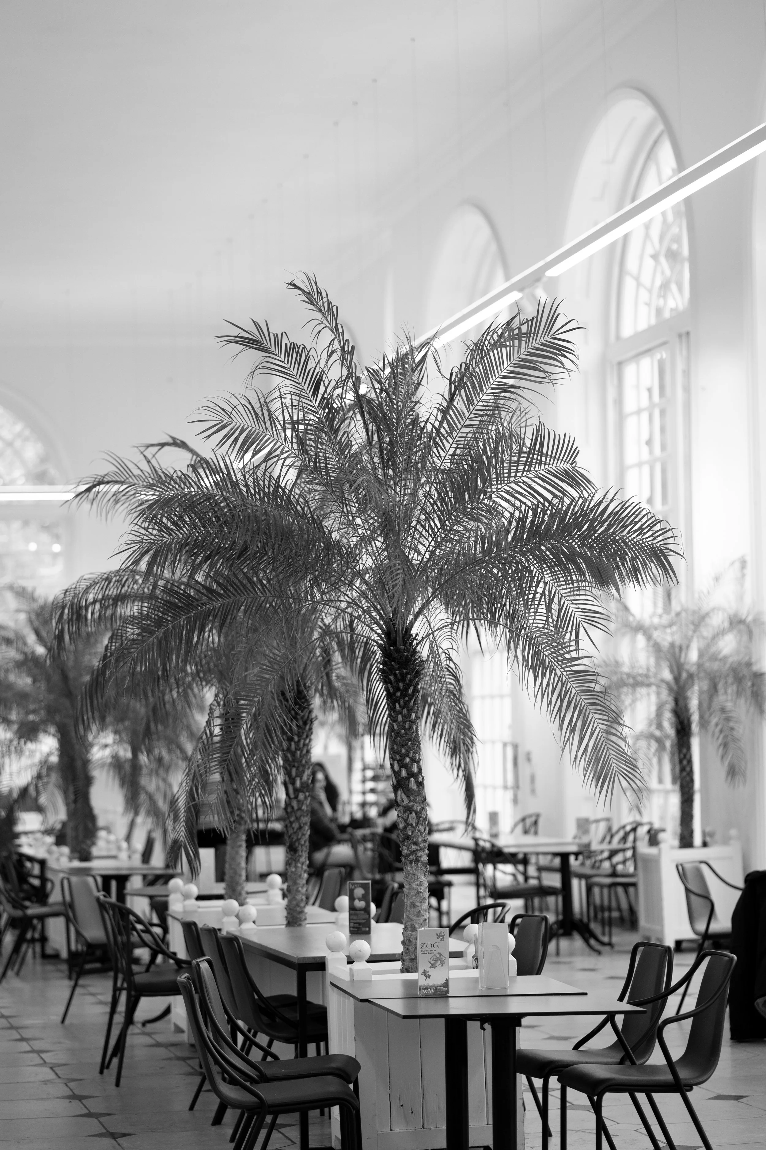 Kew Gardens-19.jpg