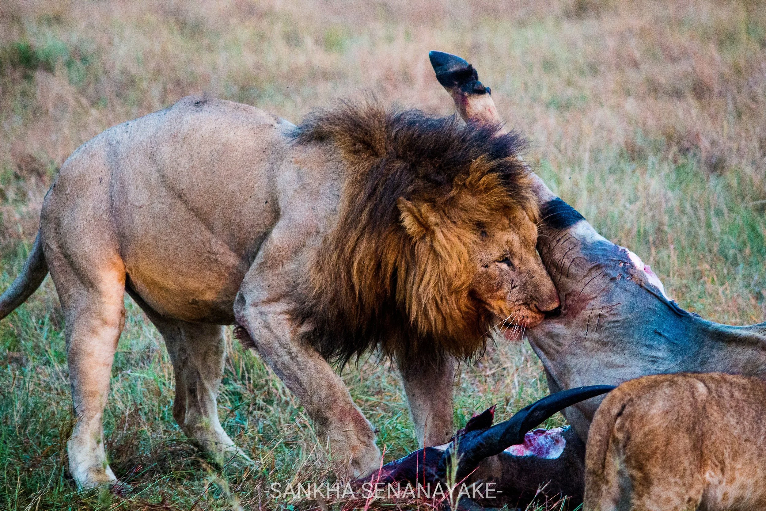Kenya_2019_-71.jpg