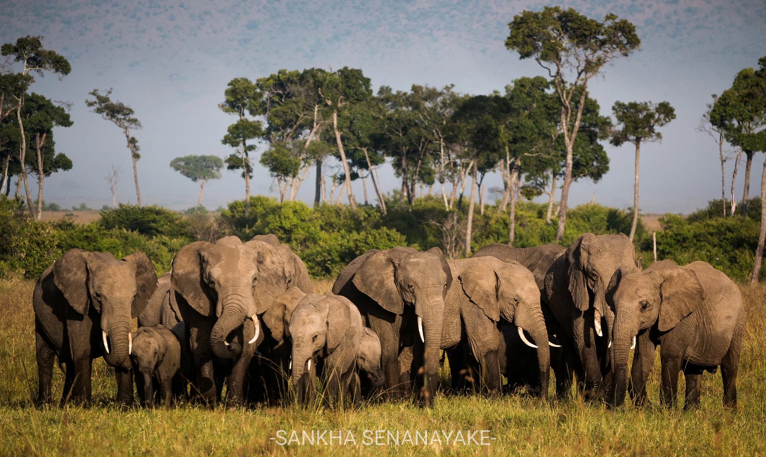 Kenya_2019_-185.jpg
