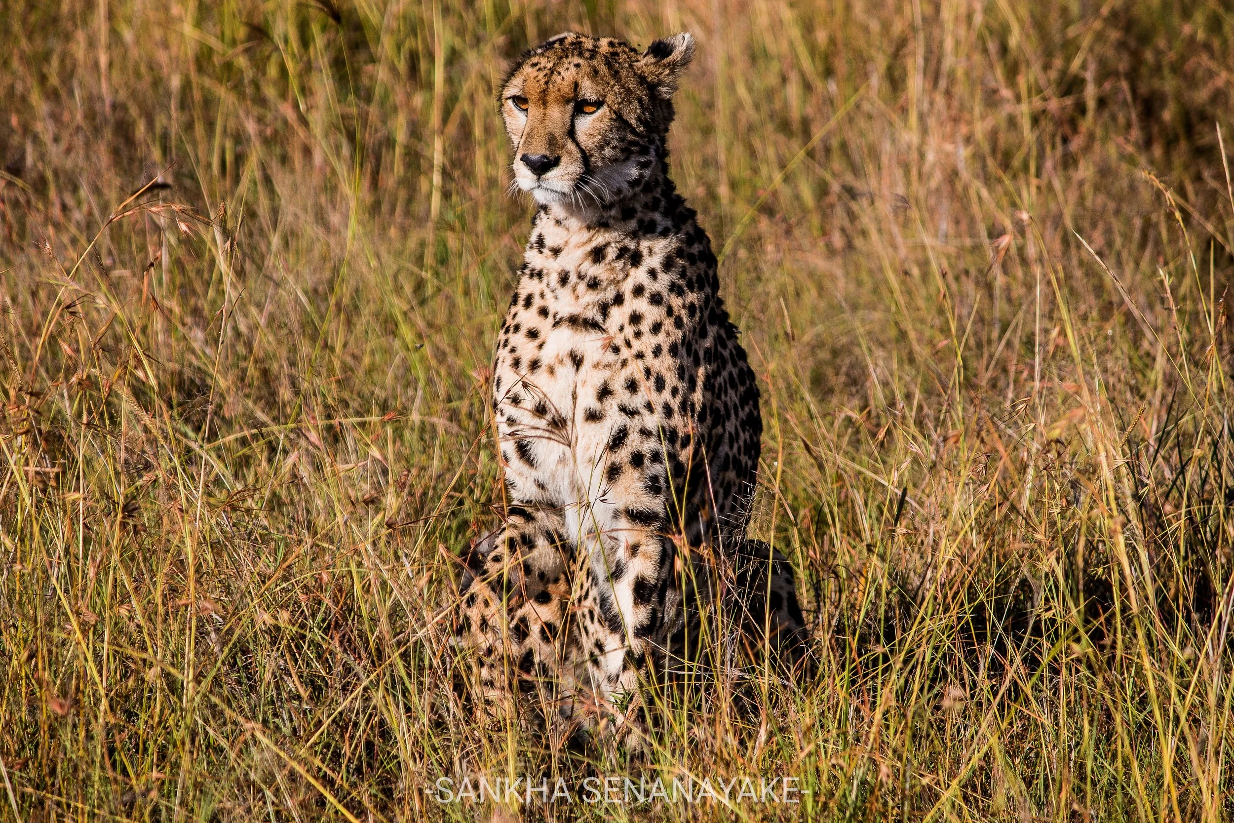 Kenya_2019_-165 (1).jpg