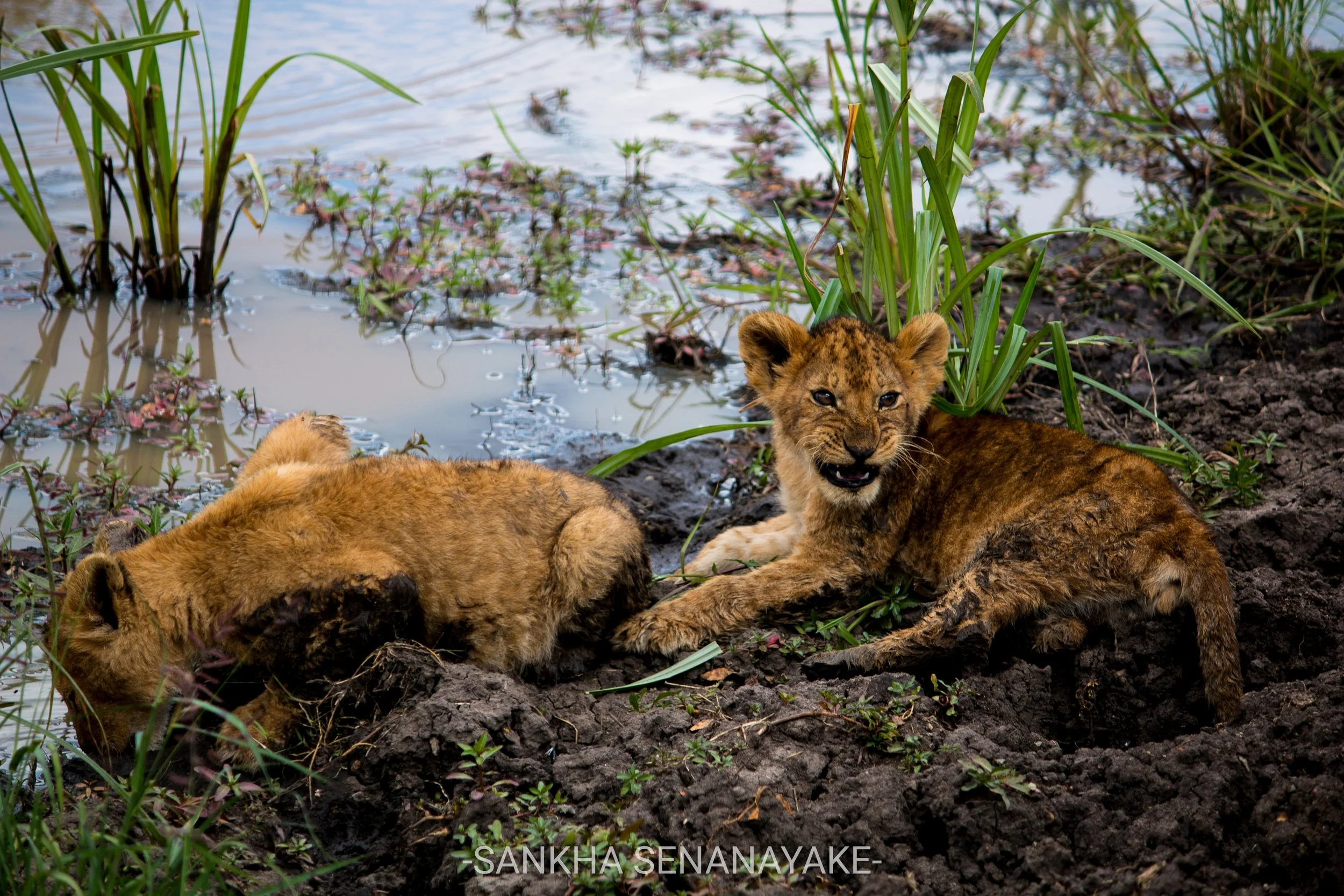 Kenya_2019_-143.jpg
