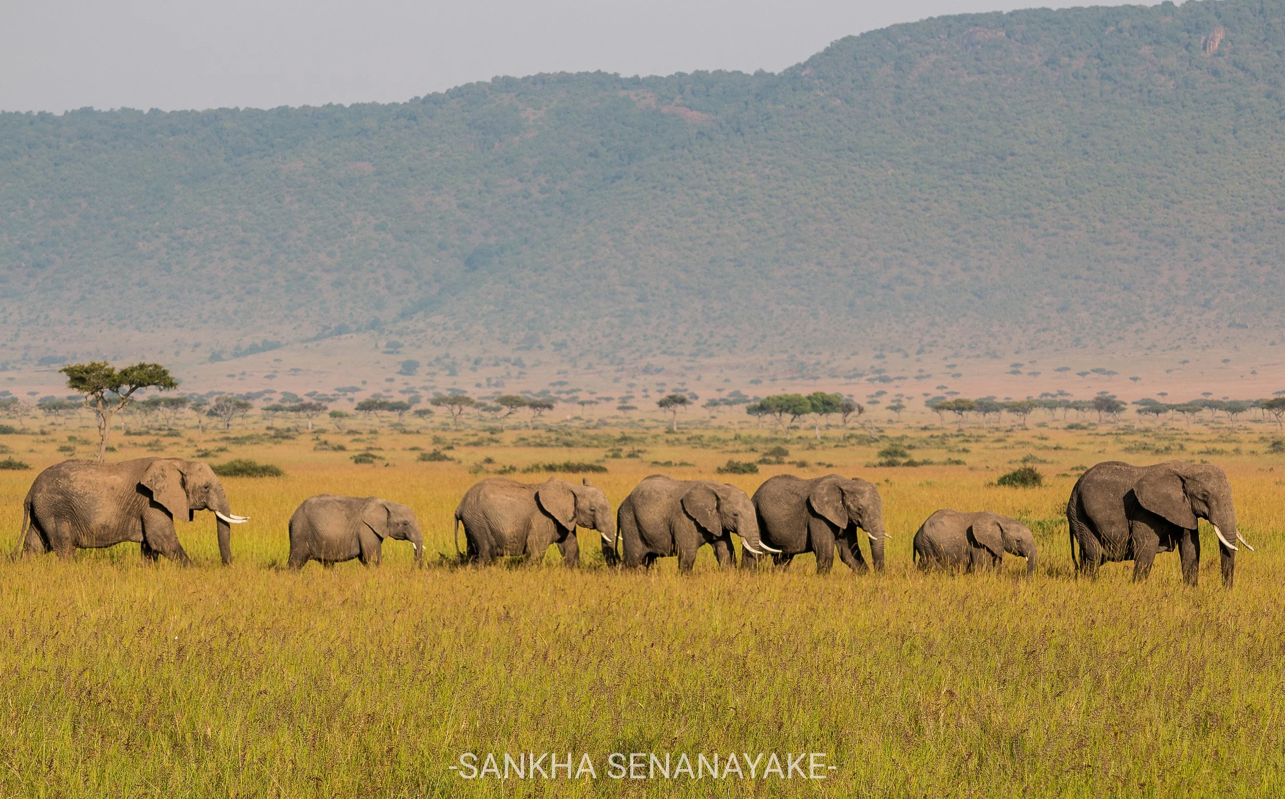 Kenya_2019_-187.jpg