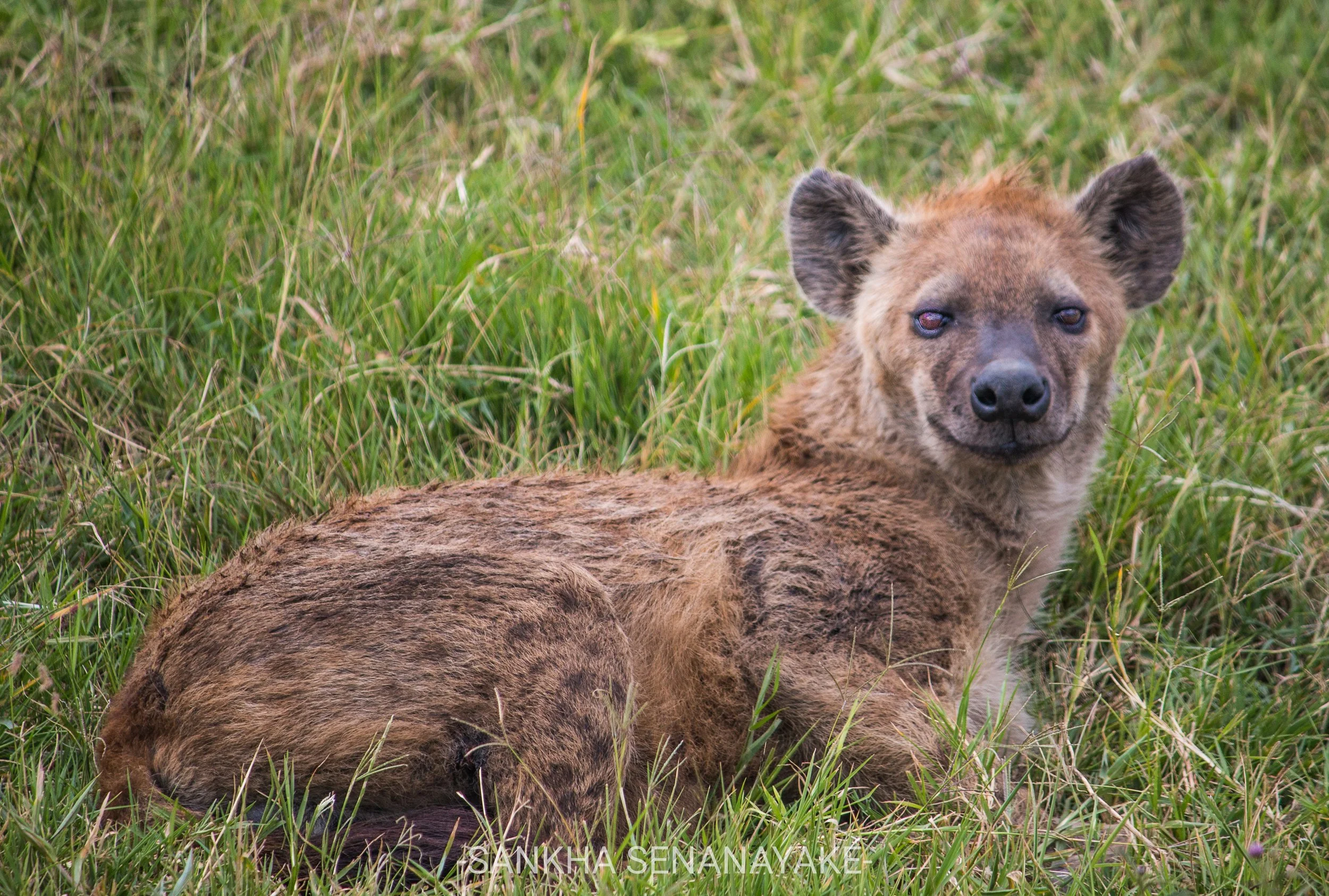 Kenya_2019_-189.jpg