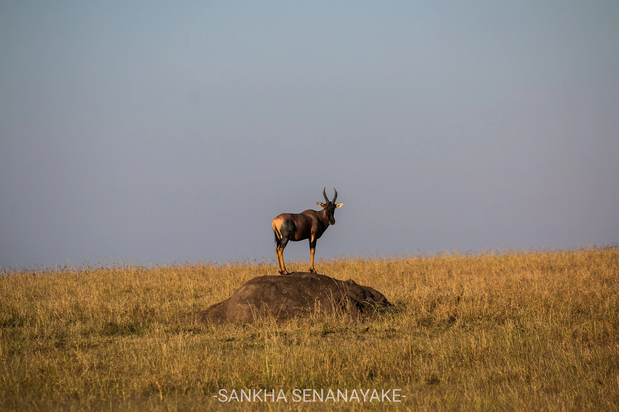 Kenya_2019_-164.jpg