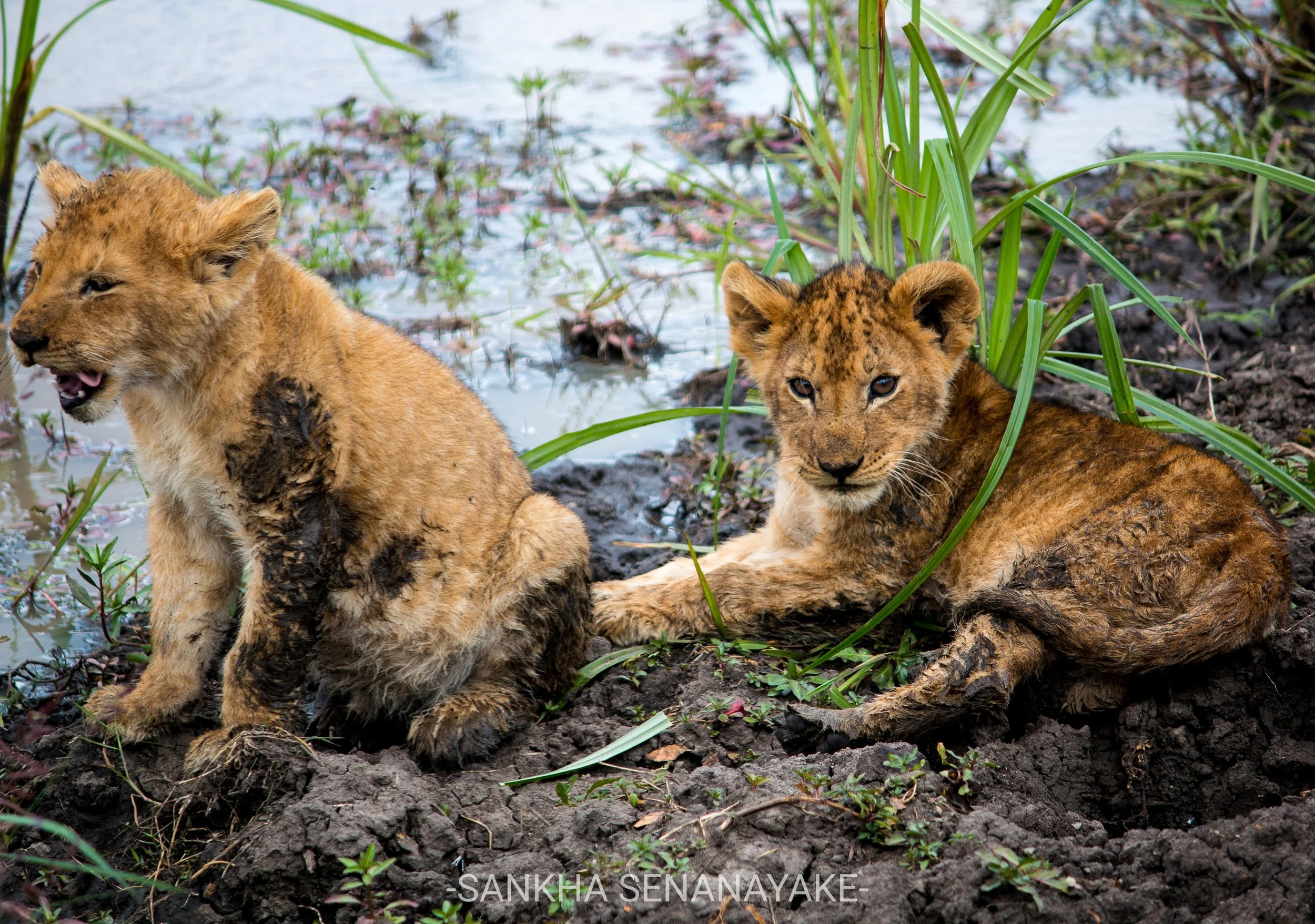 Kenya_2019_-149.jpg