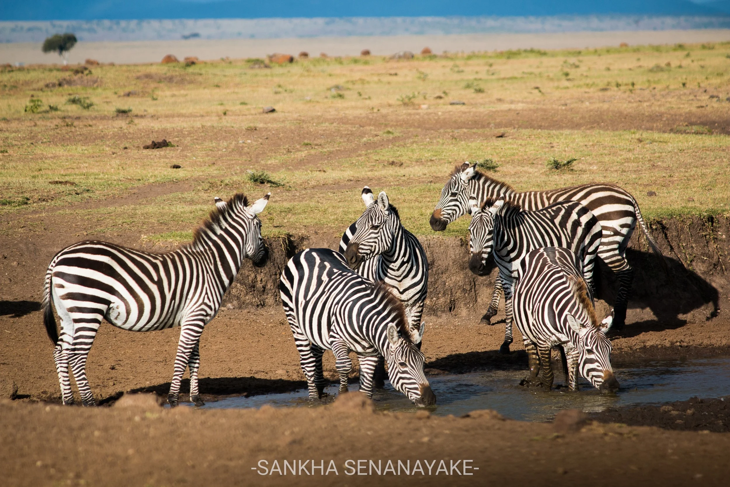 Kenya_2019_-158.jpg
