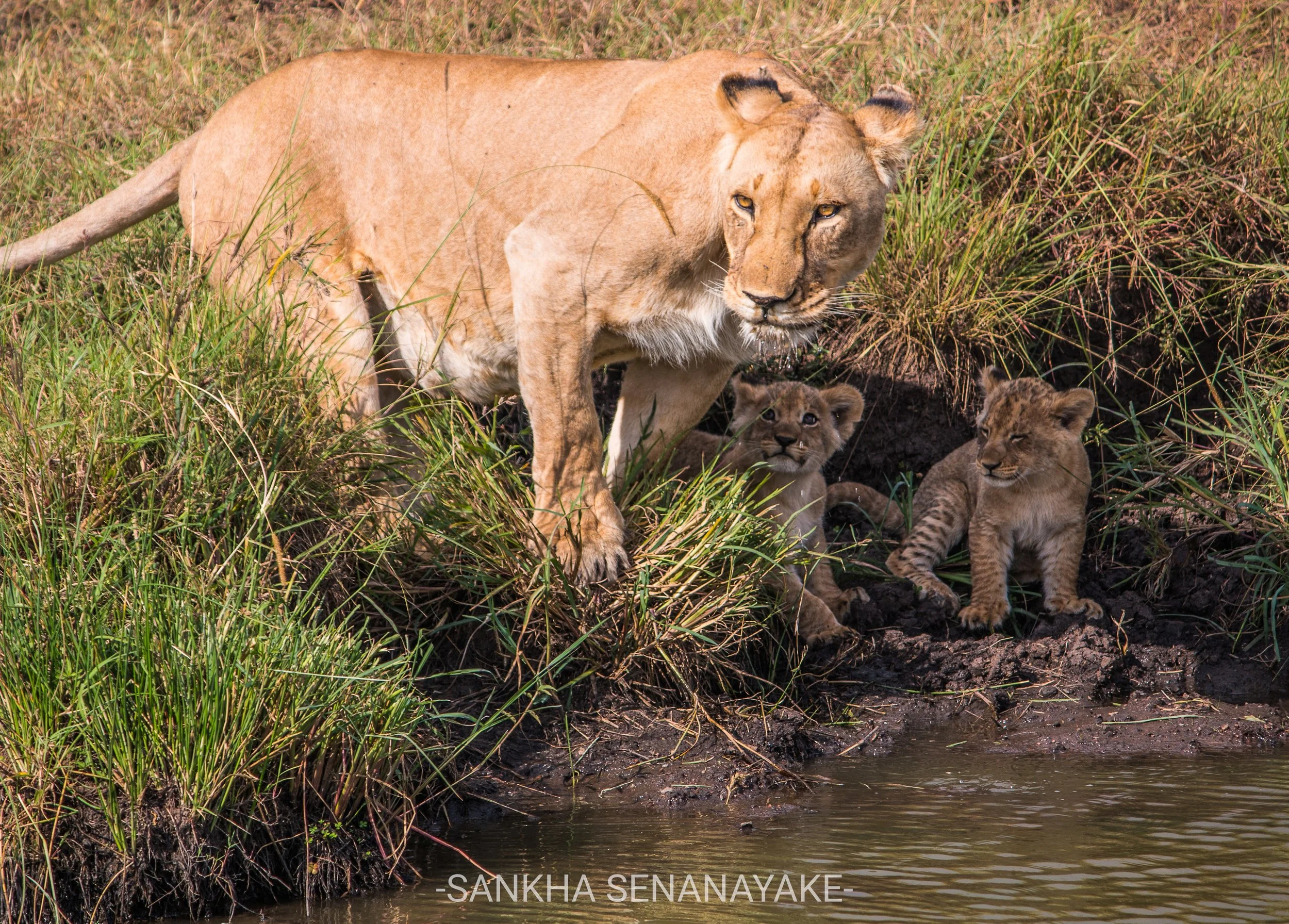 Kenya_2019_-192.jpg