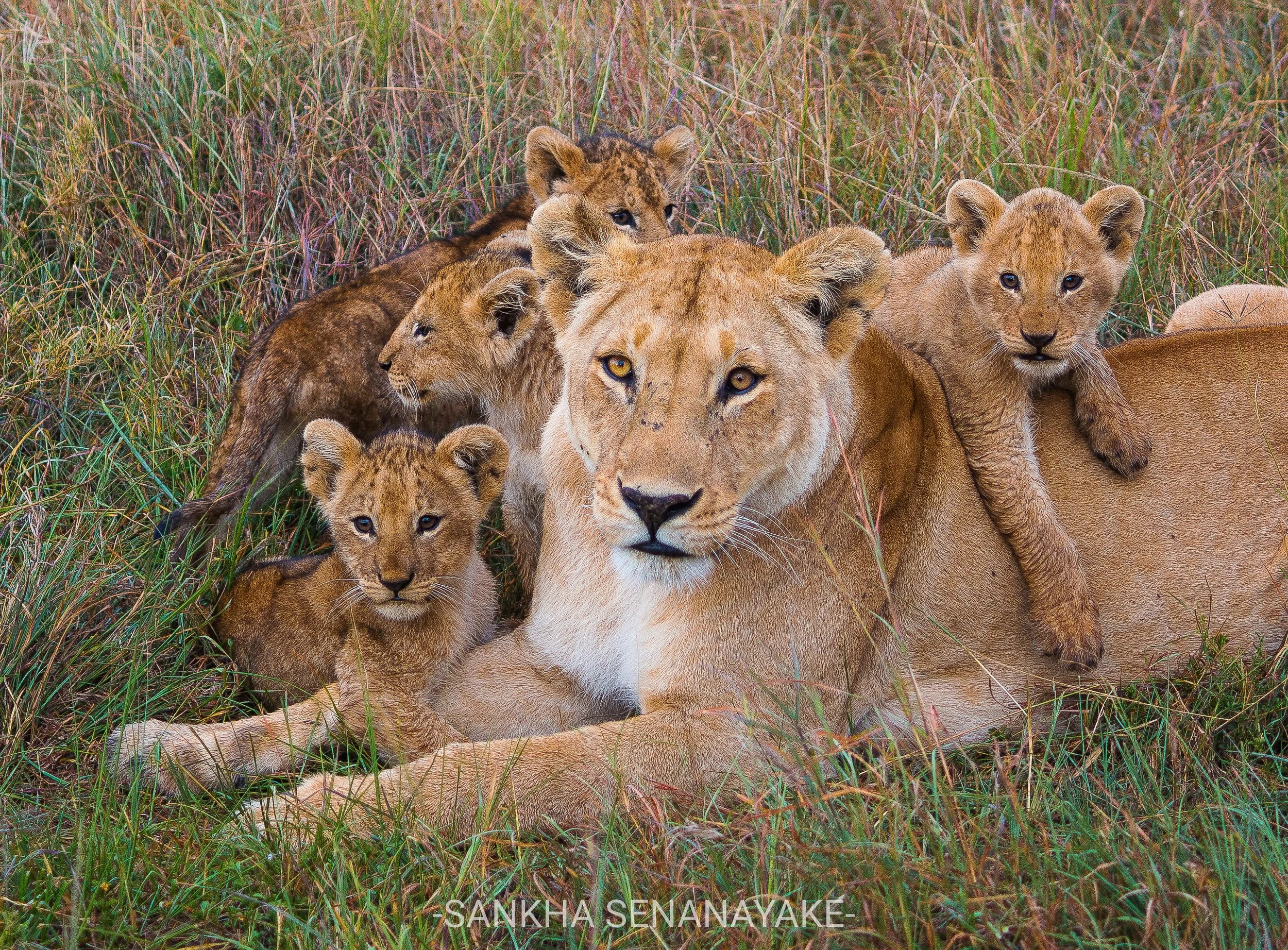 Kenya_2019_-83.jpg