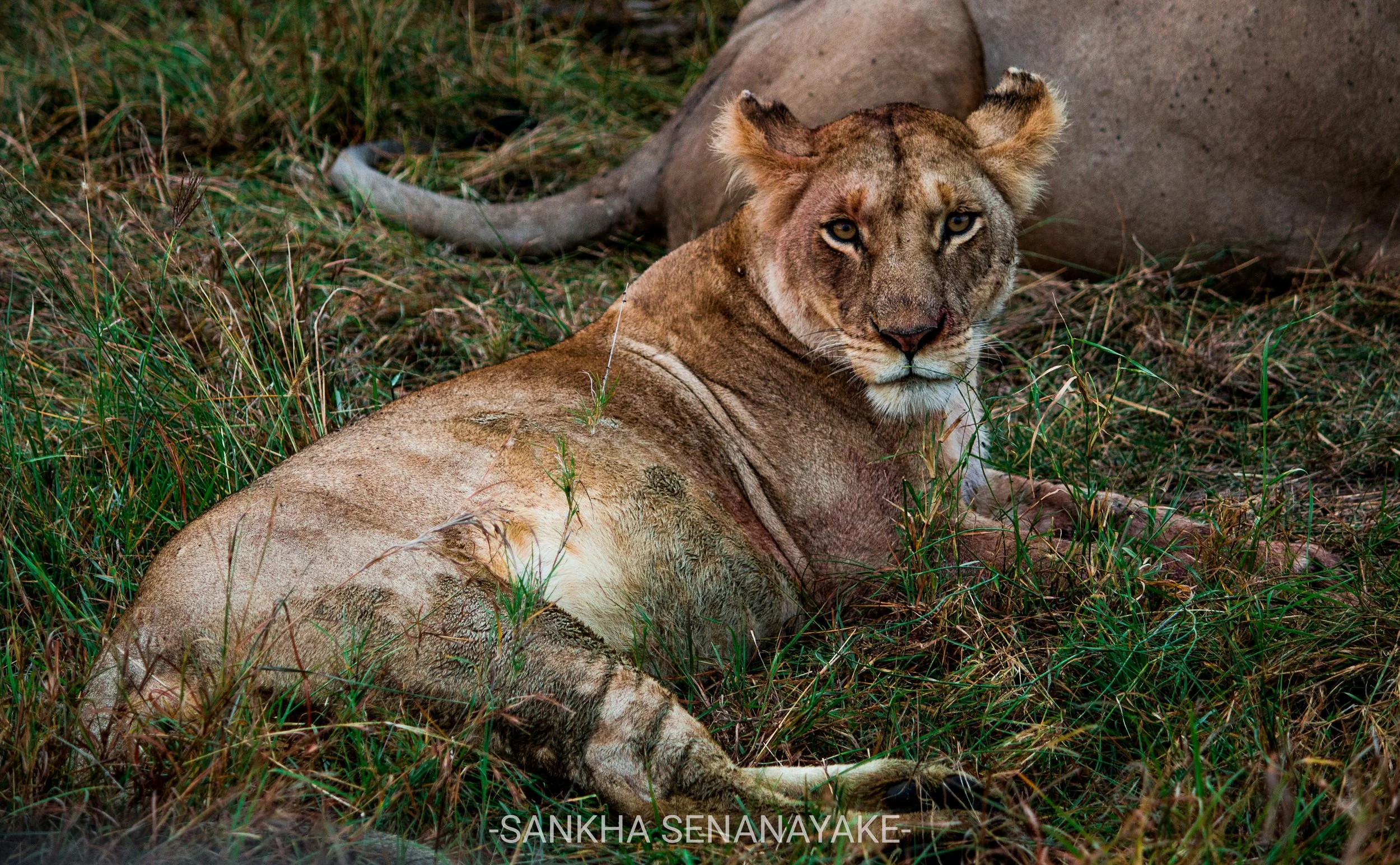 Kenya_2019_-75.jpg