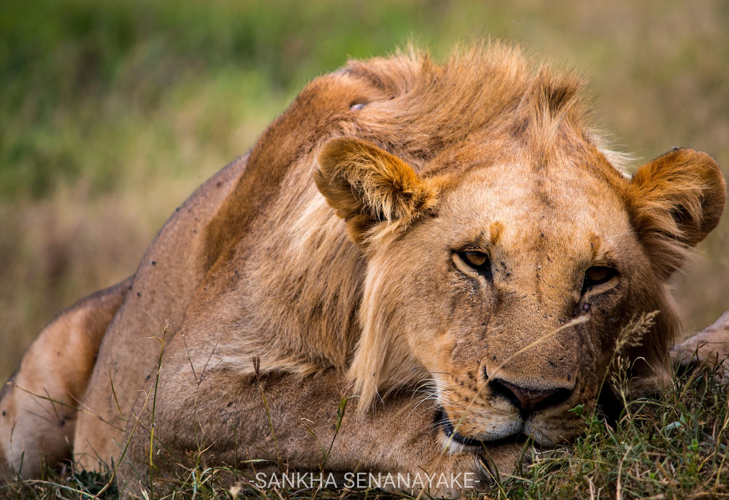 Kenya_2019_-139.jpg