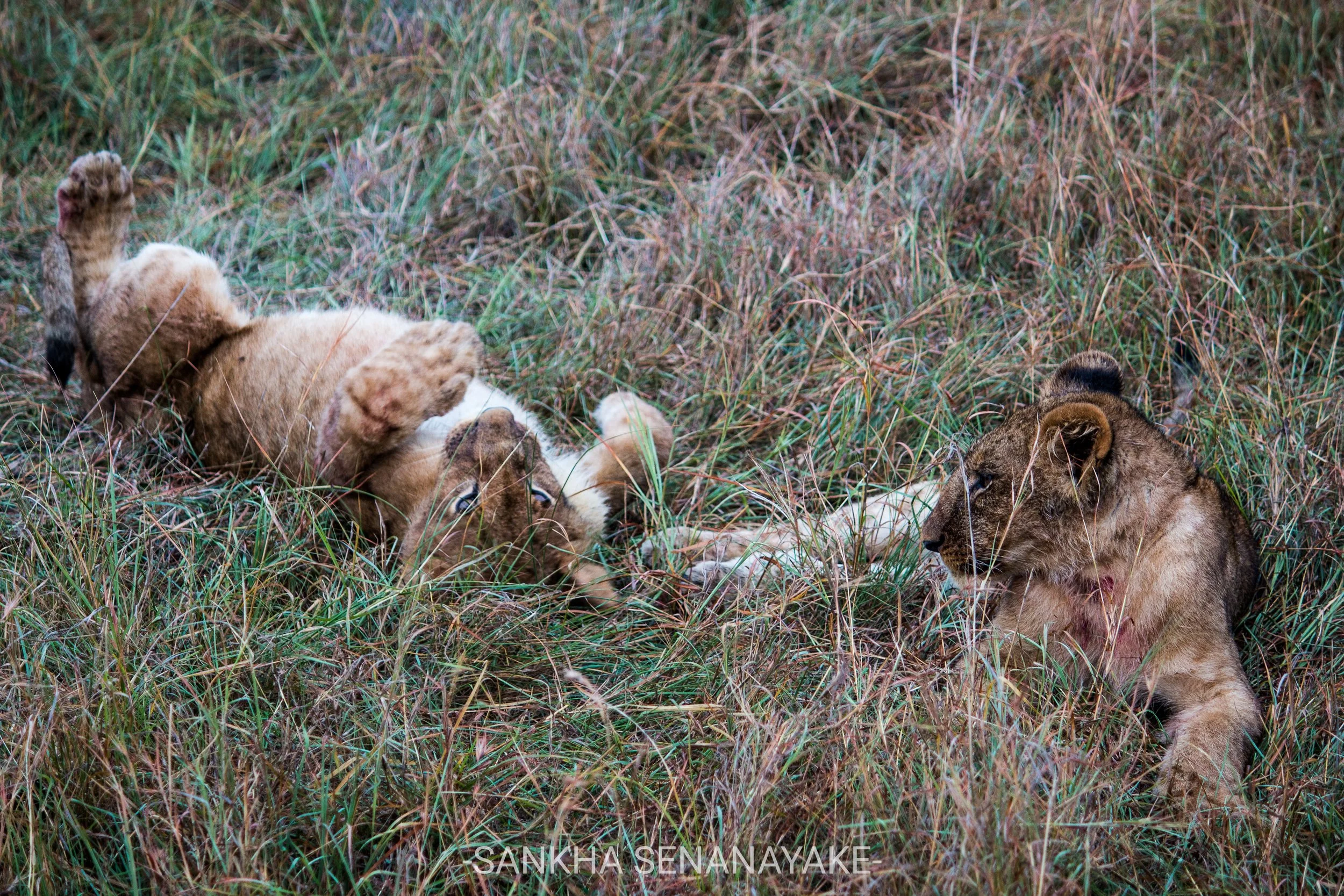 Kenya_2019_-79.jpg