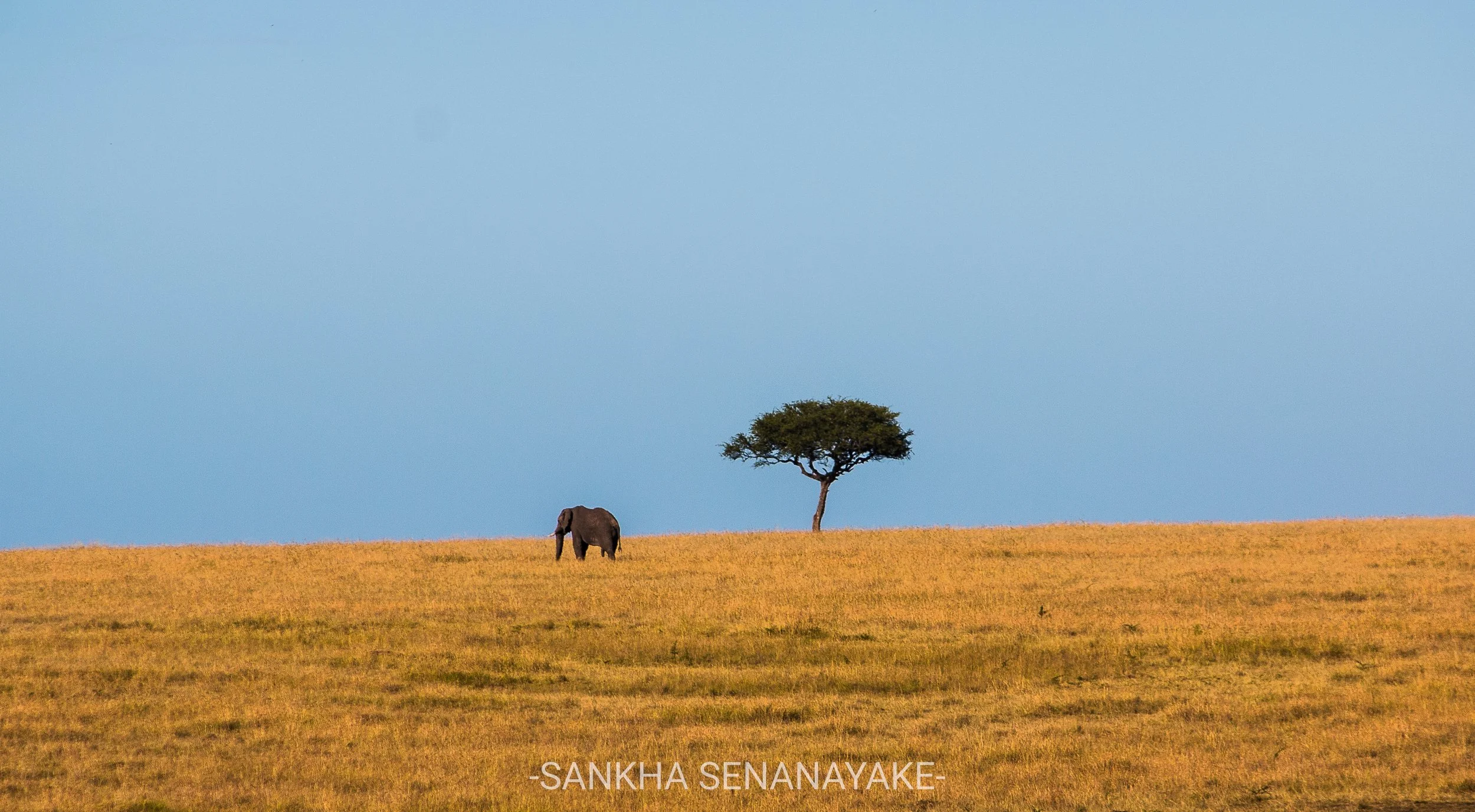 Kenya_2019_-125 (1).jpg