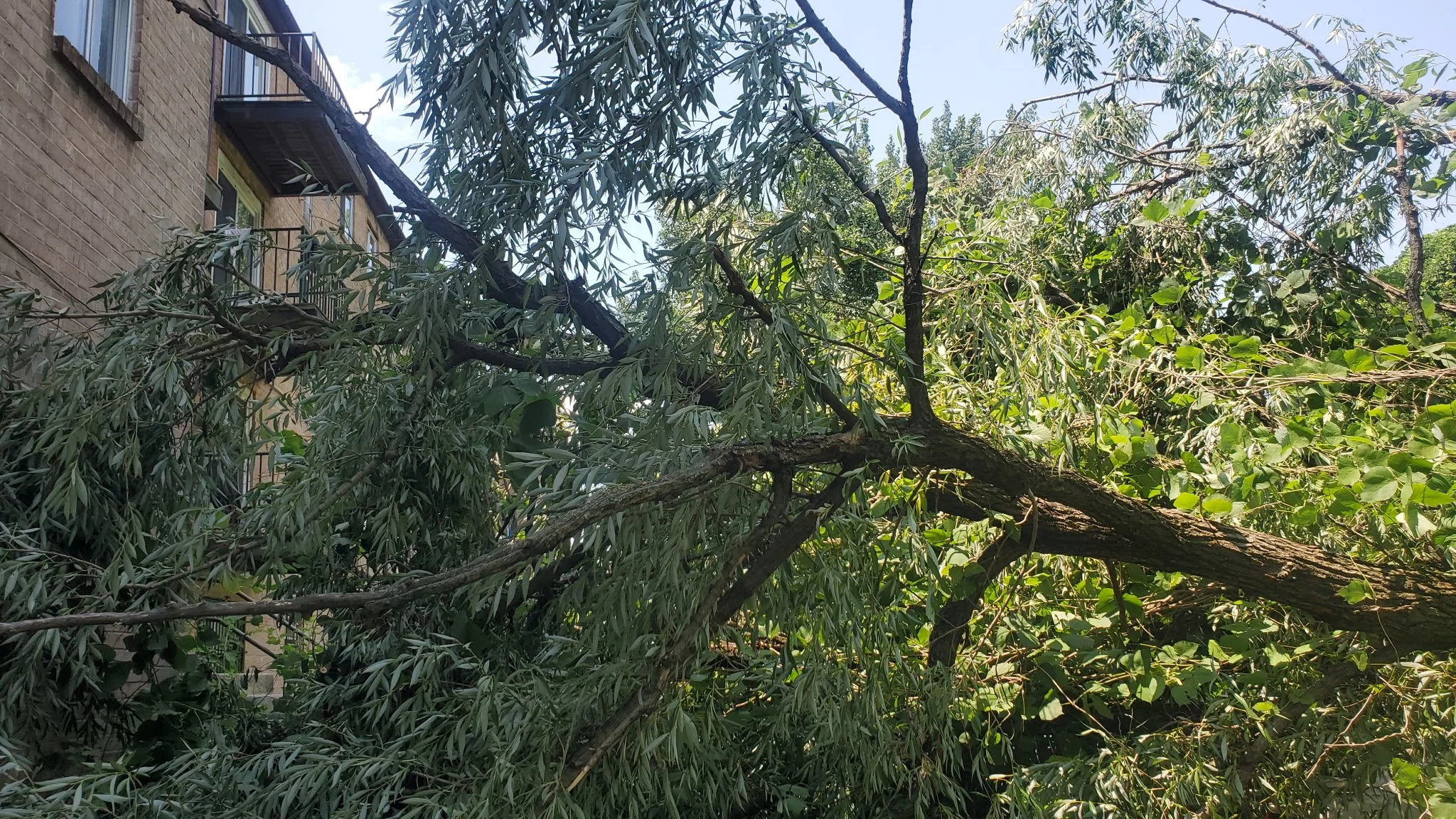 20260713_124232.jpeg