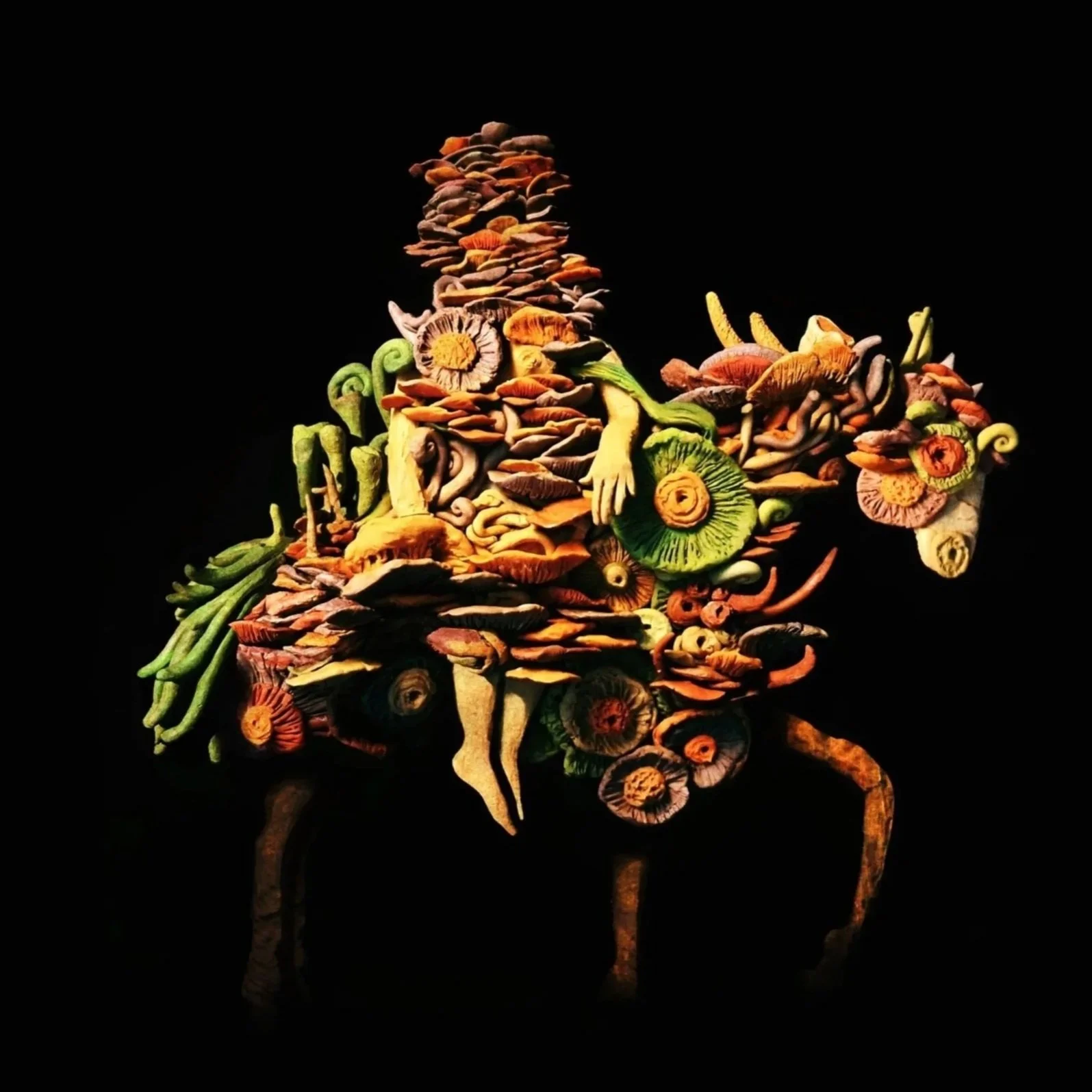 horse.jpg