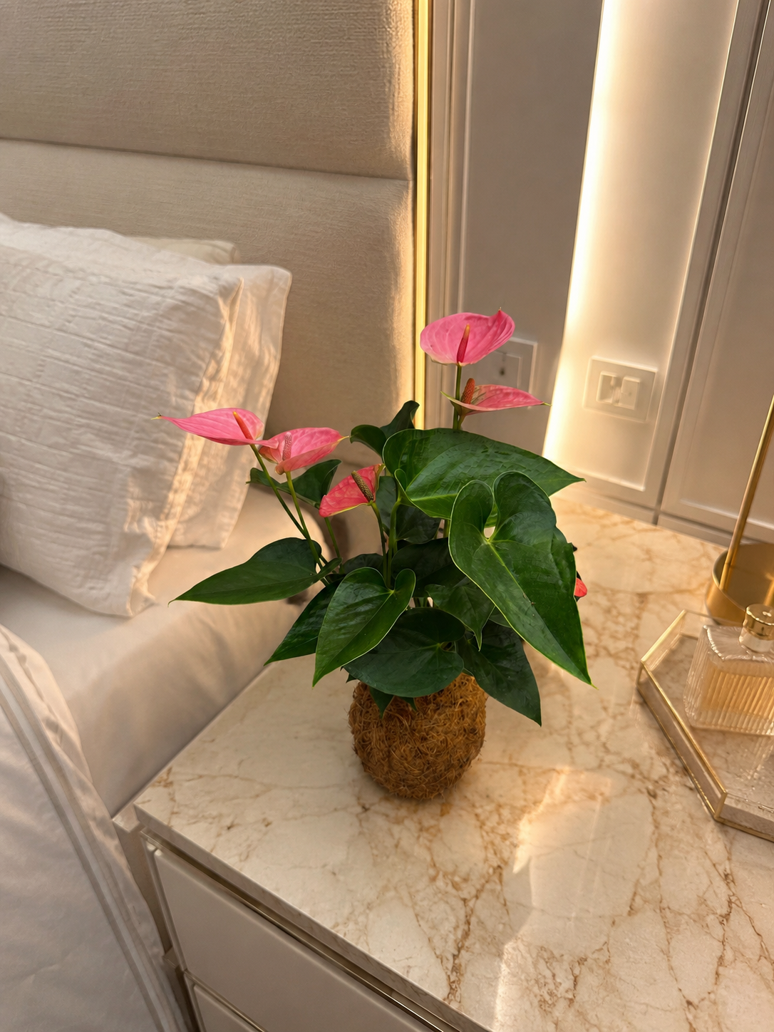 ChatGPT Image 20_06_2026, 16_46_59.png