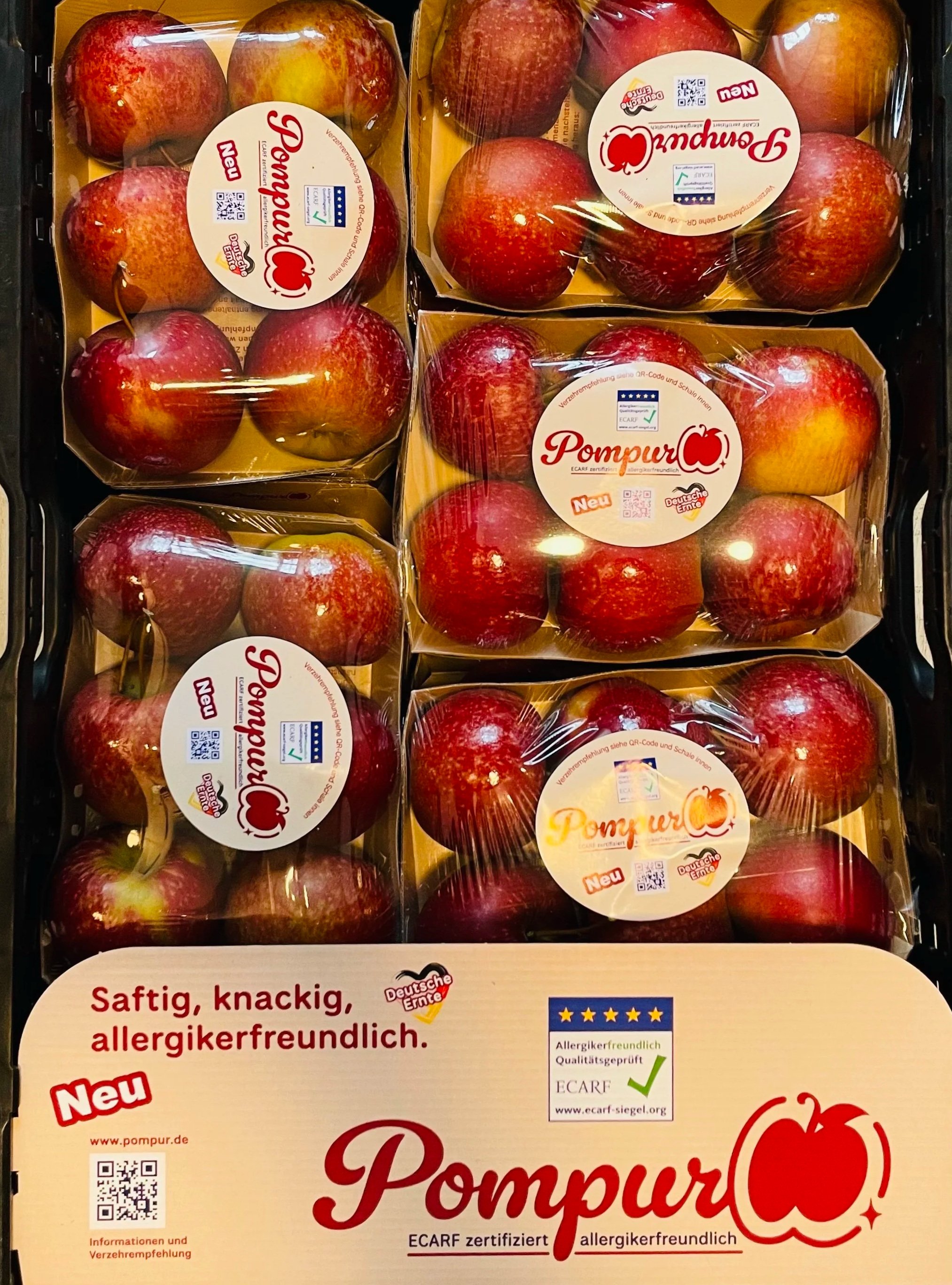 Market entry display - famila, Hamburg, 26/11
Brand, logo and cardboard insert design