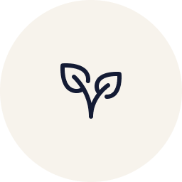 Simple line drawing of a small plant with two leaves.
