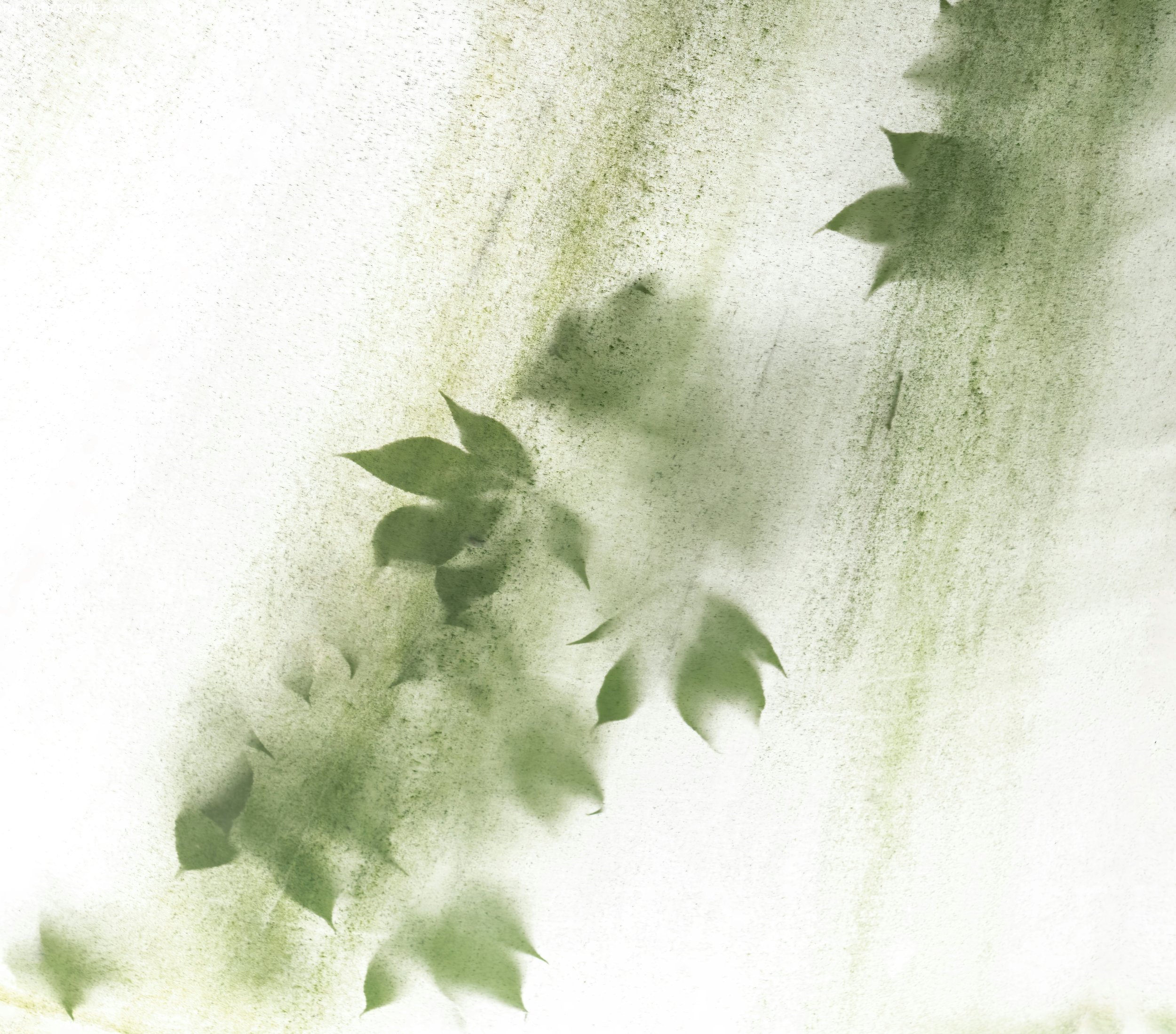 Everything you should know about wellness design