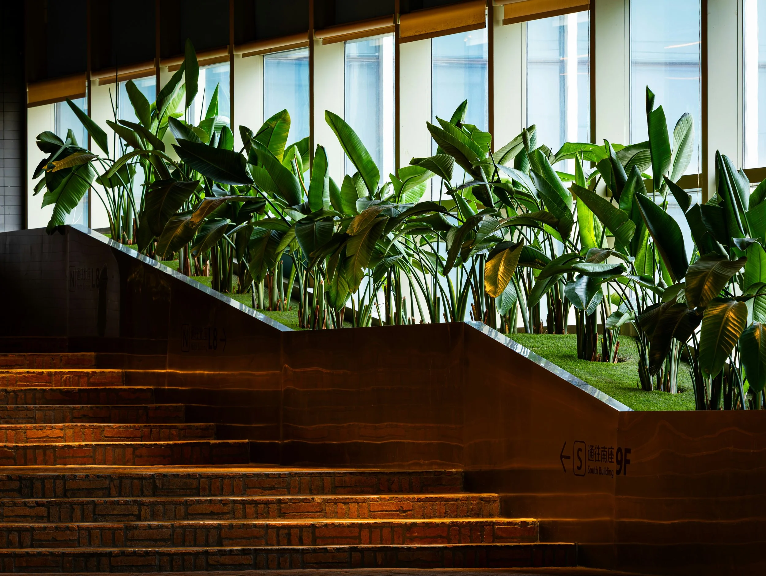 the main misconceptions of wellness design
