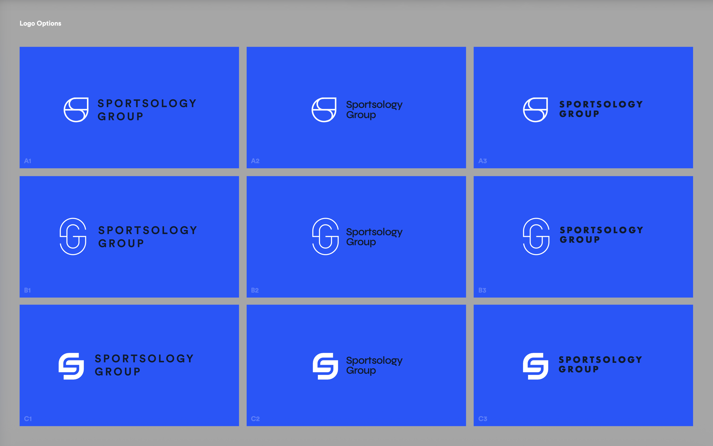 Logo Options 1.png