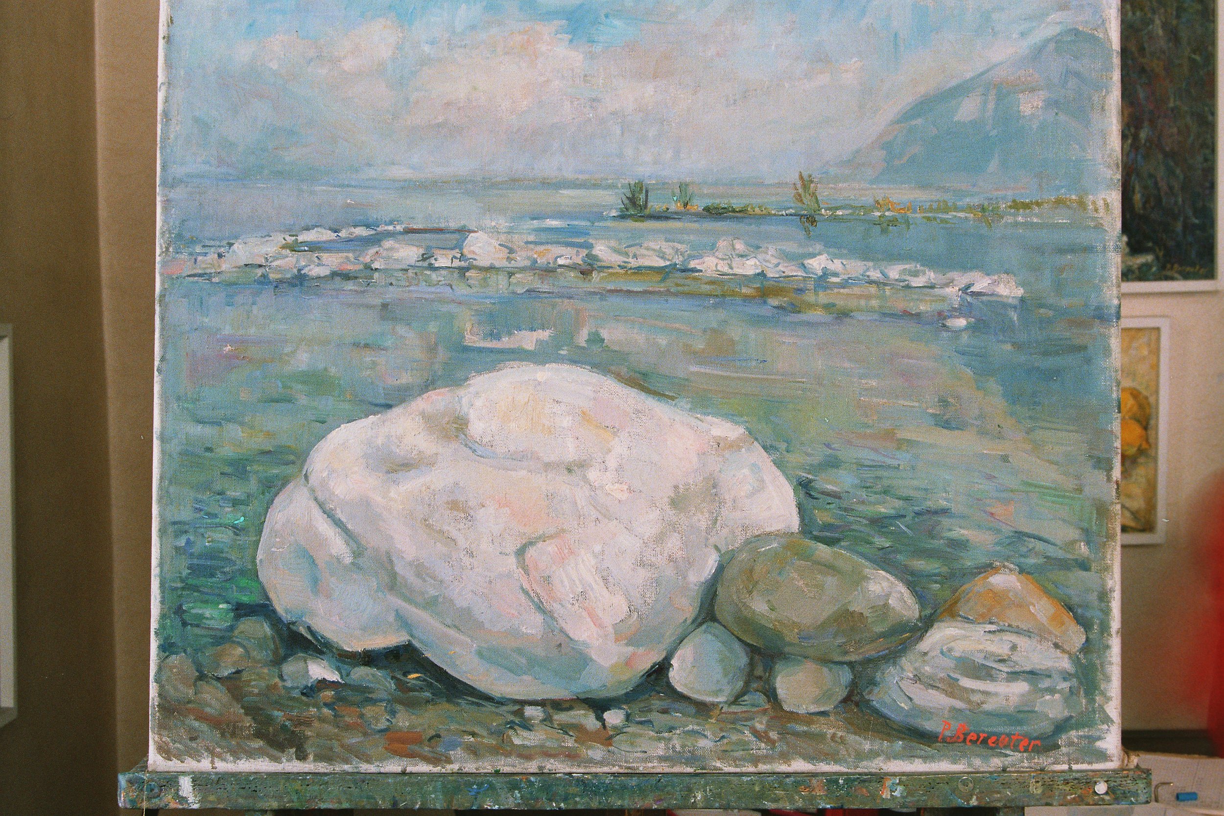 B013343_N0131_ID000004_E_P001.jpg