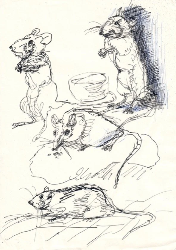 JOACHIM JOHN MUSEUM 0040.jpg