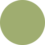 Ellipse 6.png