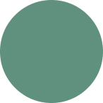 Ellipse 5.png