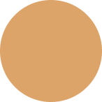 Ellipse 4.png
