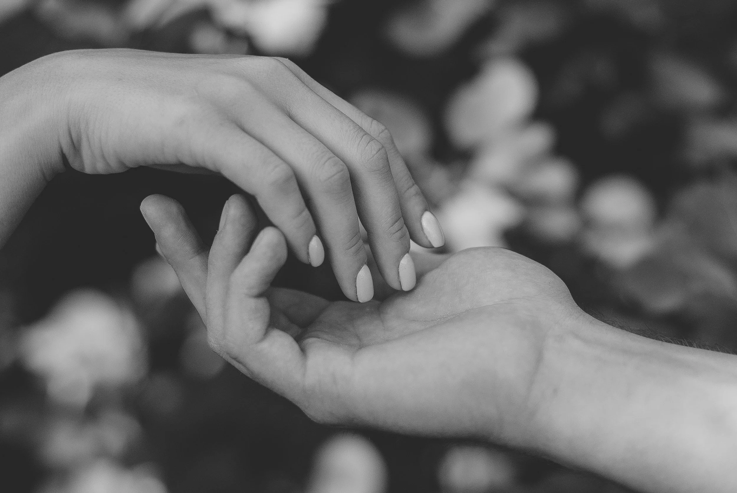Close-up of two hands gently holding each other, black and white photograph.