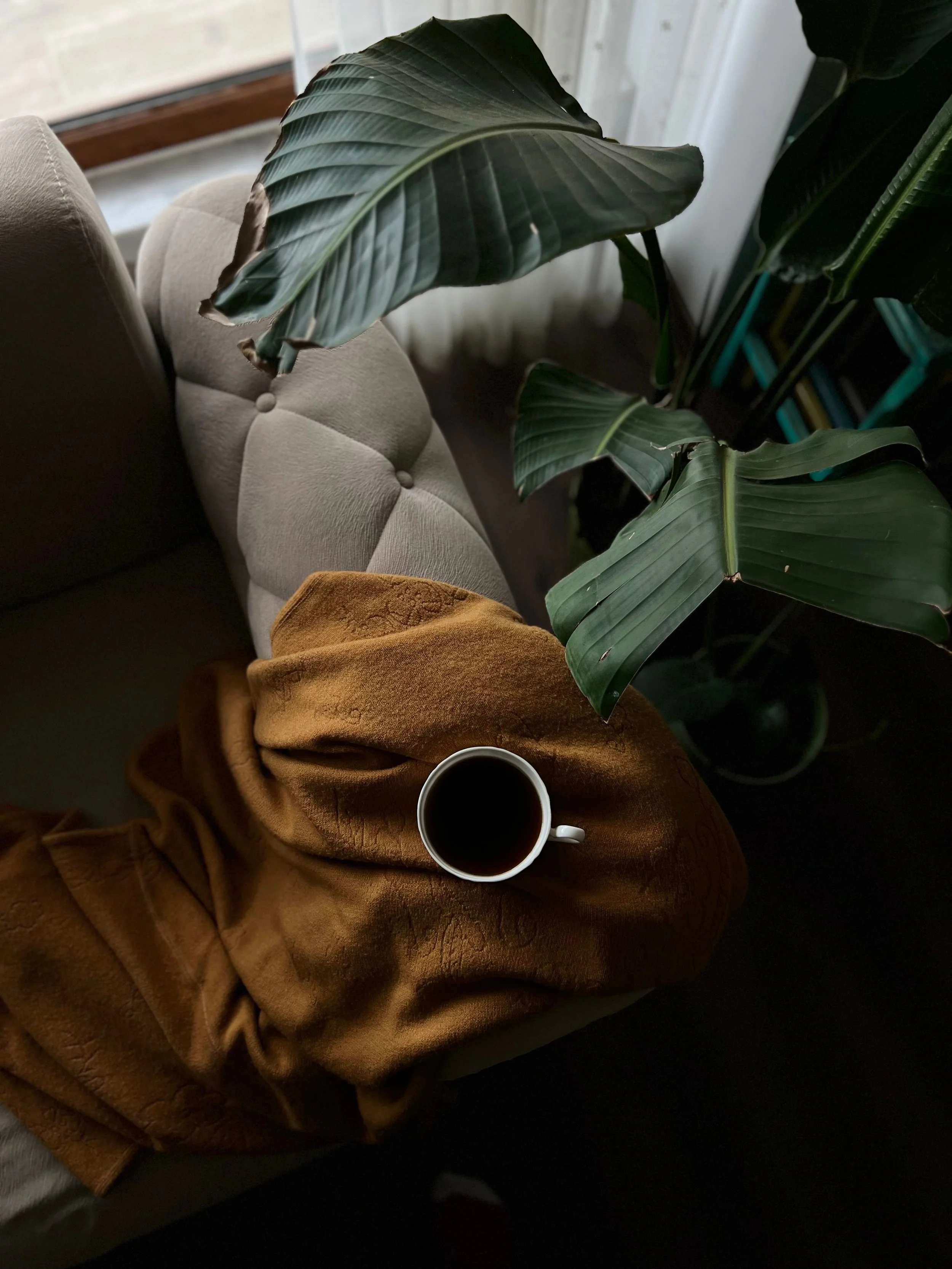 A white mug filled with black coffee resting on a napkin on a person's lap, who is wearing mustard-colored pants. A large indoor plant with broad green leaves, and an upholstered beige armchair are in this therapy office in Broward County, Florida.