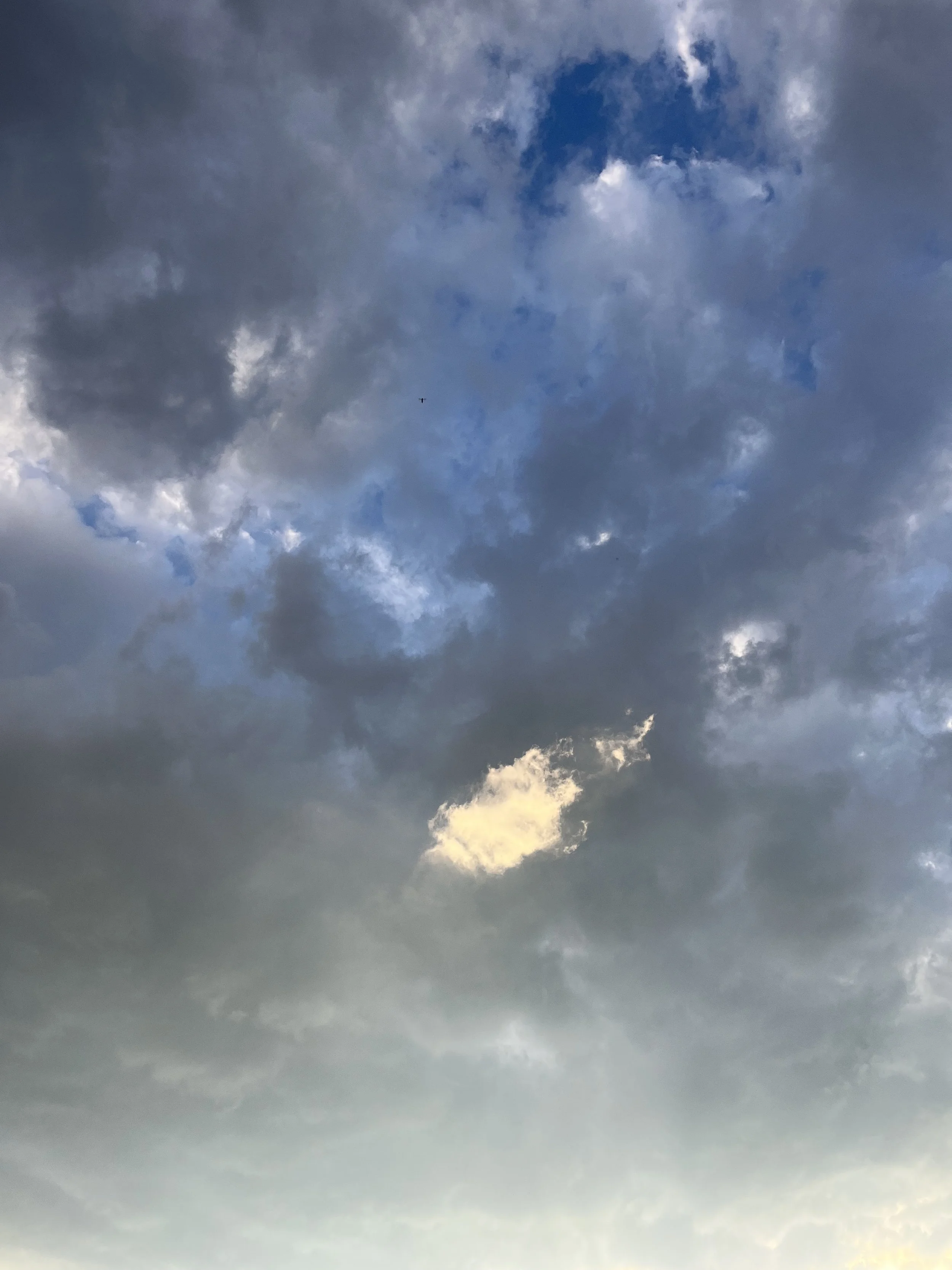 Ciel nuageux avec quelques trouées de ciel bleu et un petit oiseau volant