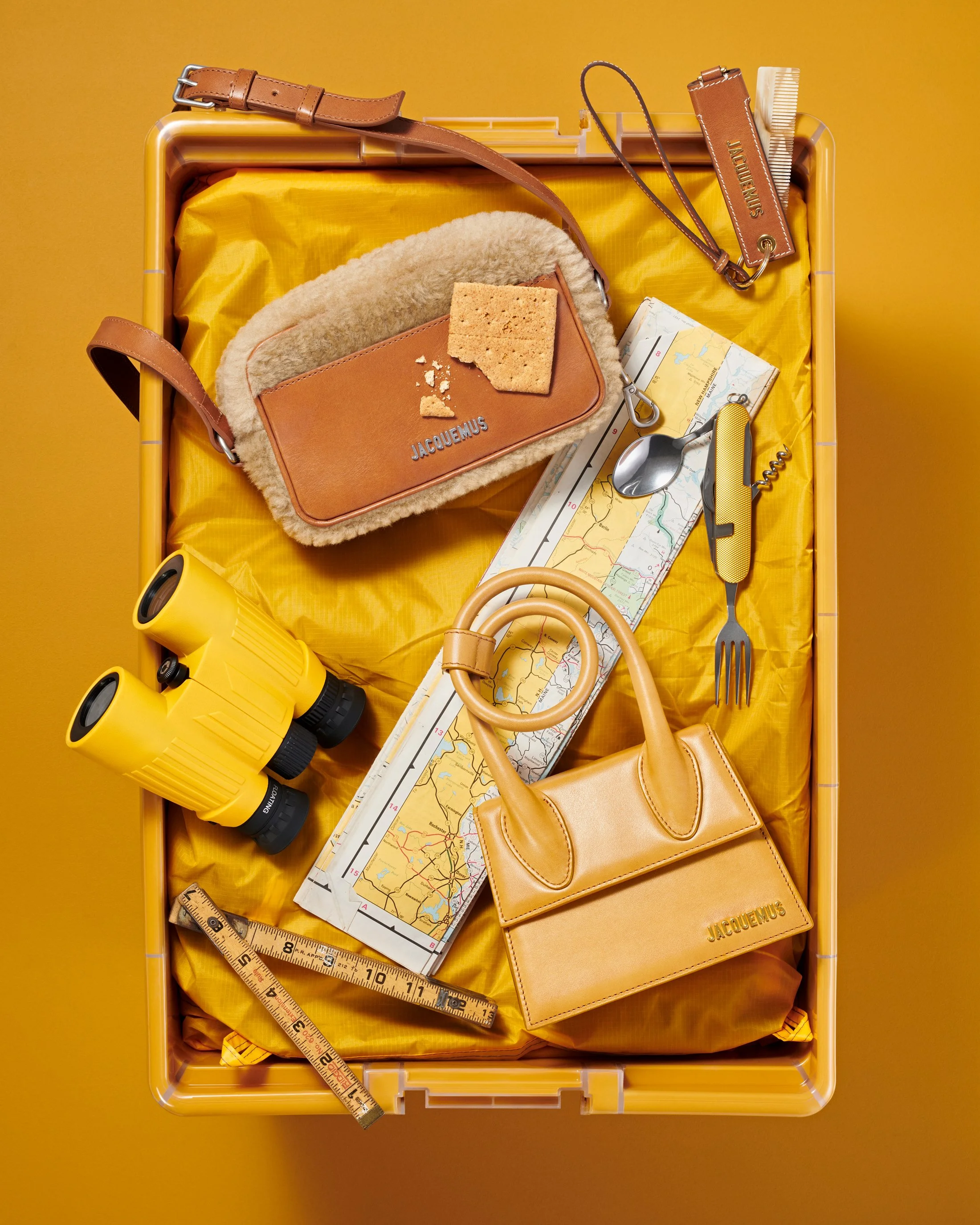 Jacquemus_Mustard_1.jpg