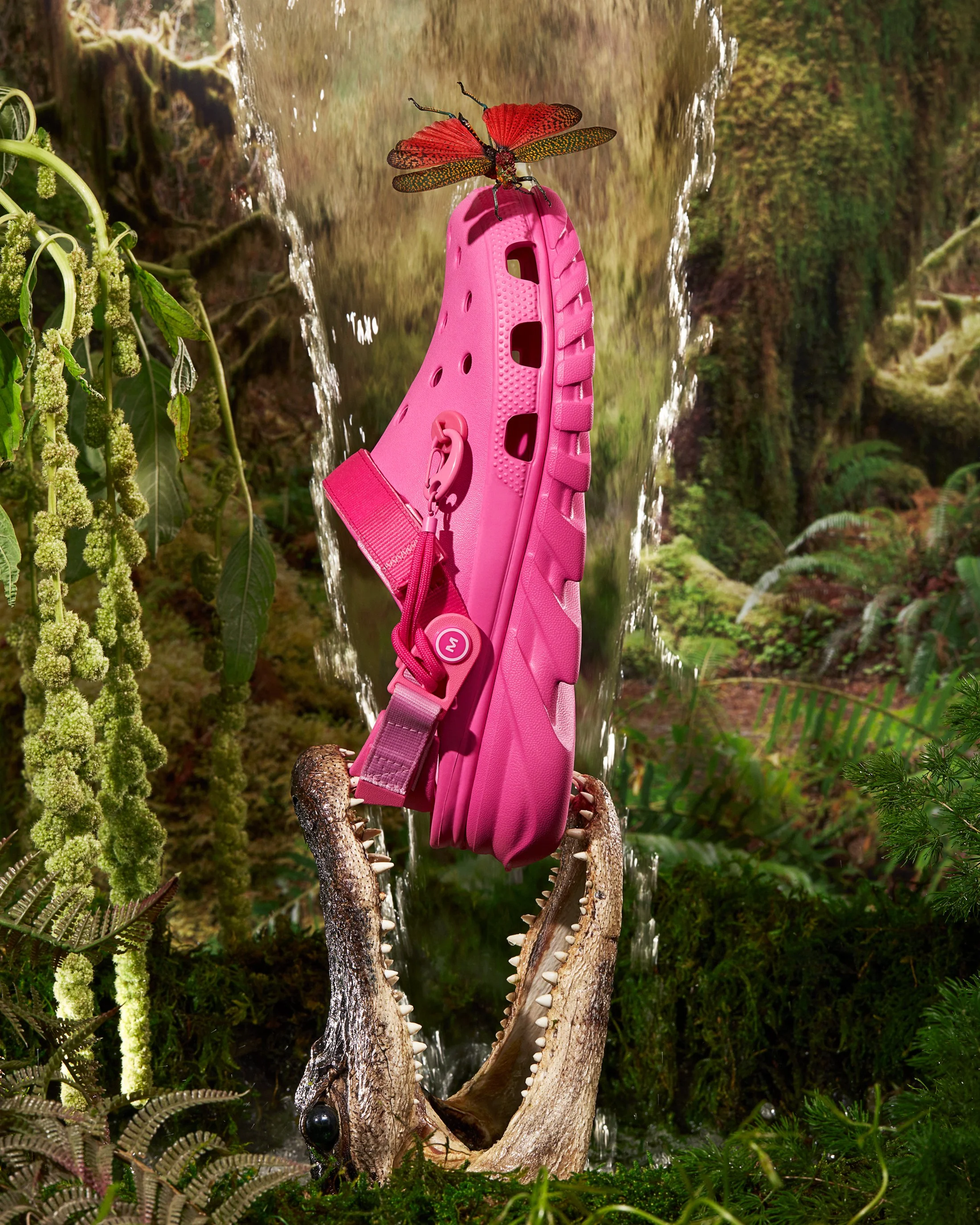 Crocs_1.jpg