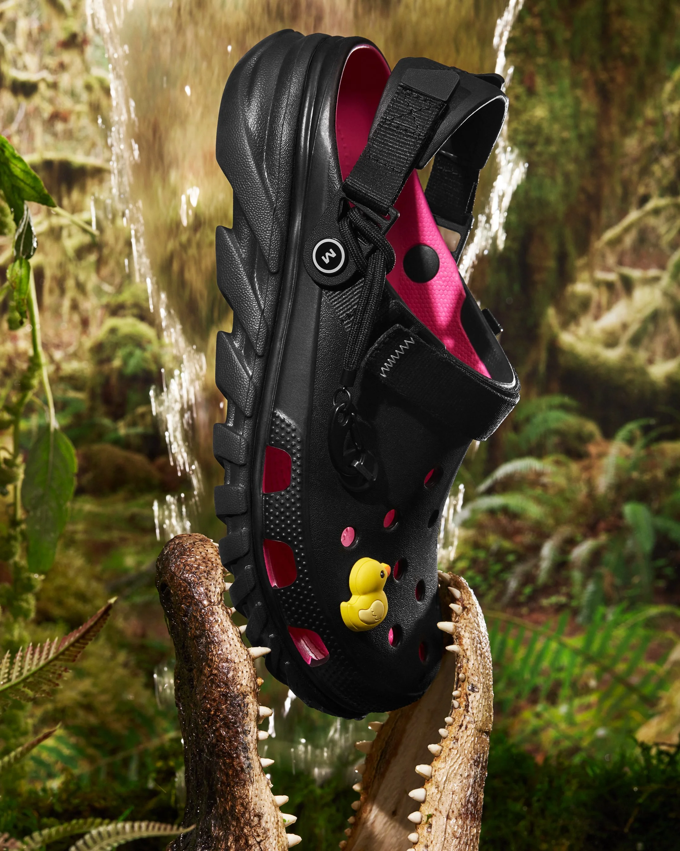 Crocs_4.jpg
