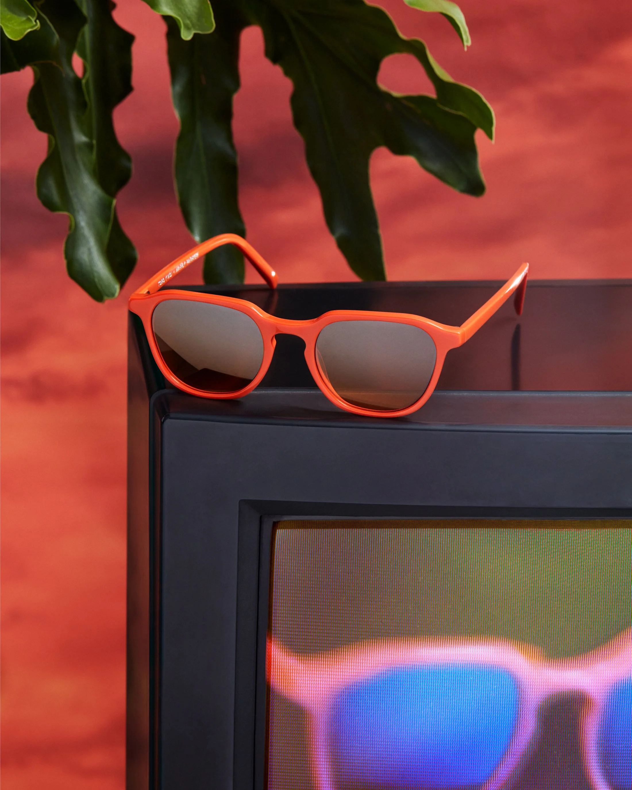 Warby_Parker_5.jpg