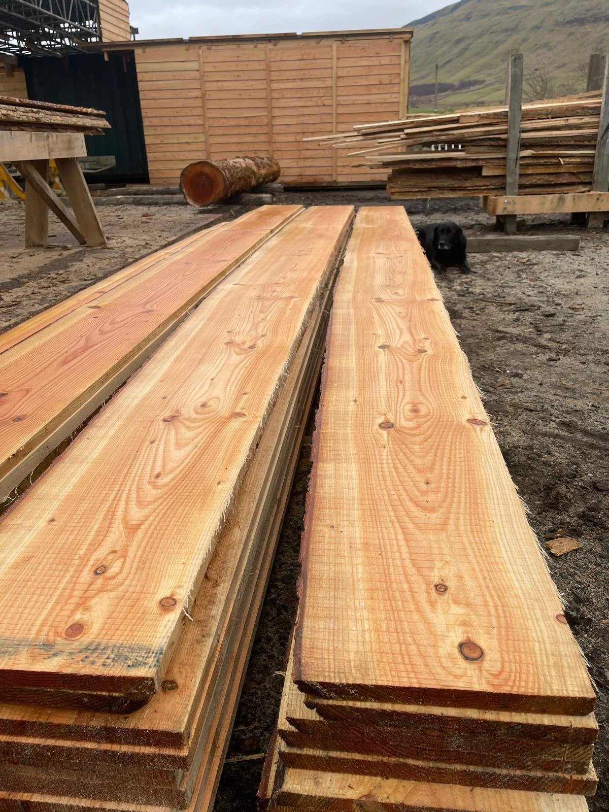Waney Edge Boards